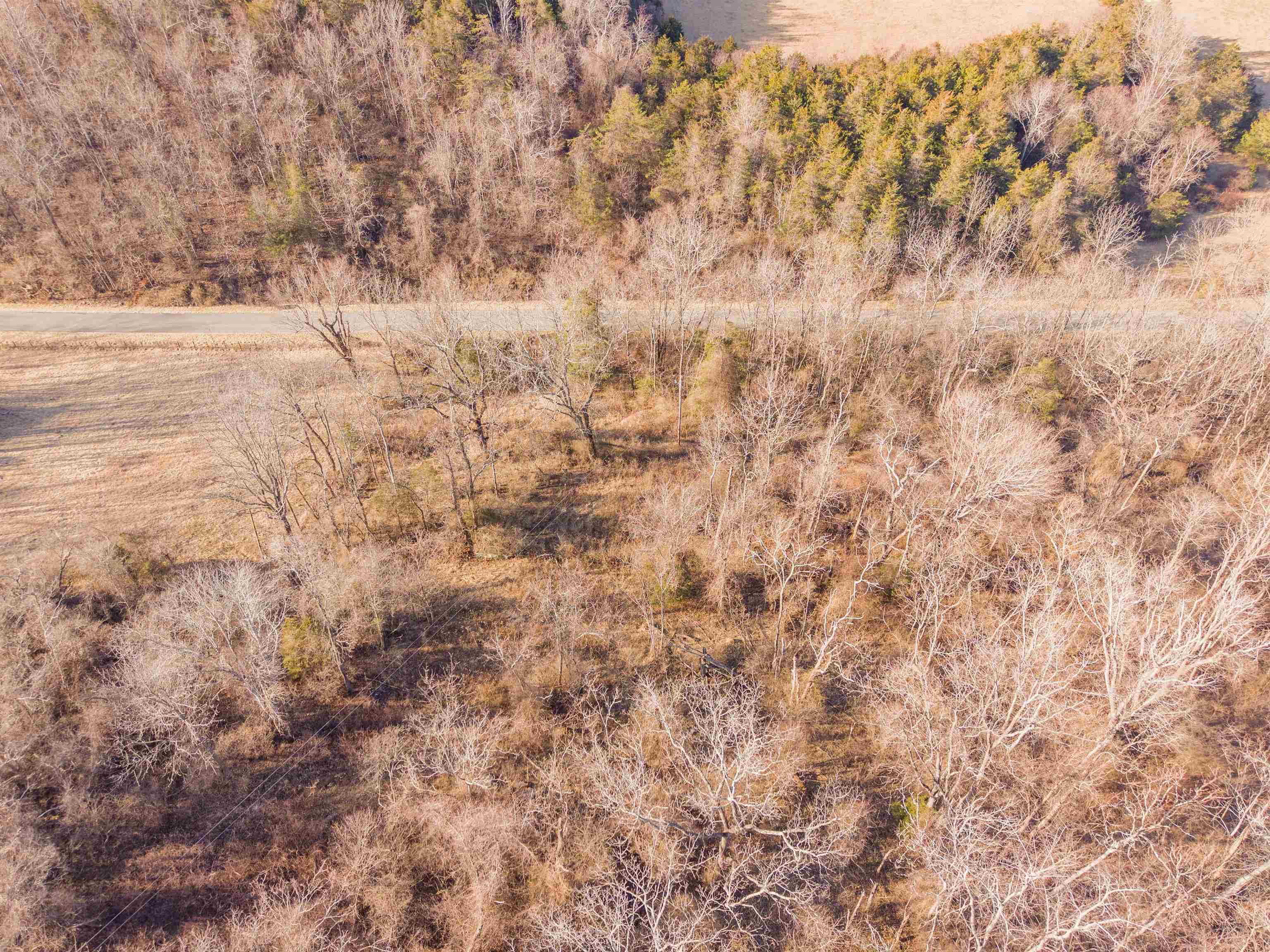 Tbd Towes Ferry Road Dublin VA 24084