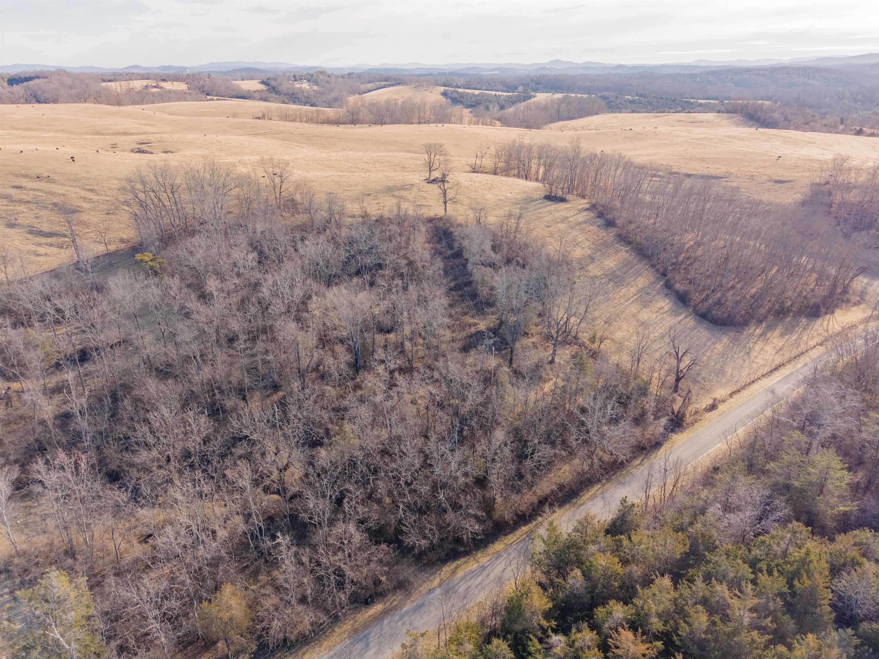 Tbd Towes Ferry Road Dublin VA 24084