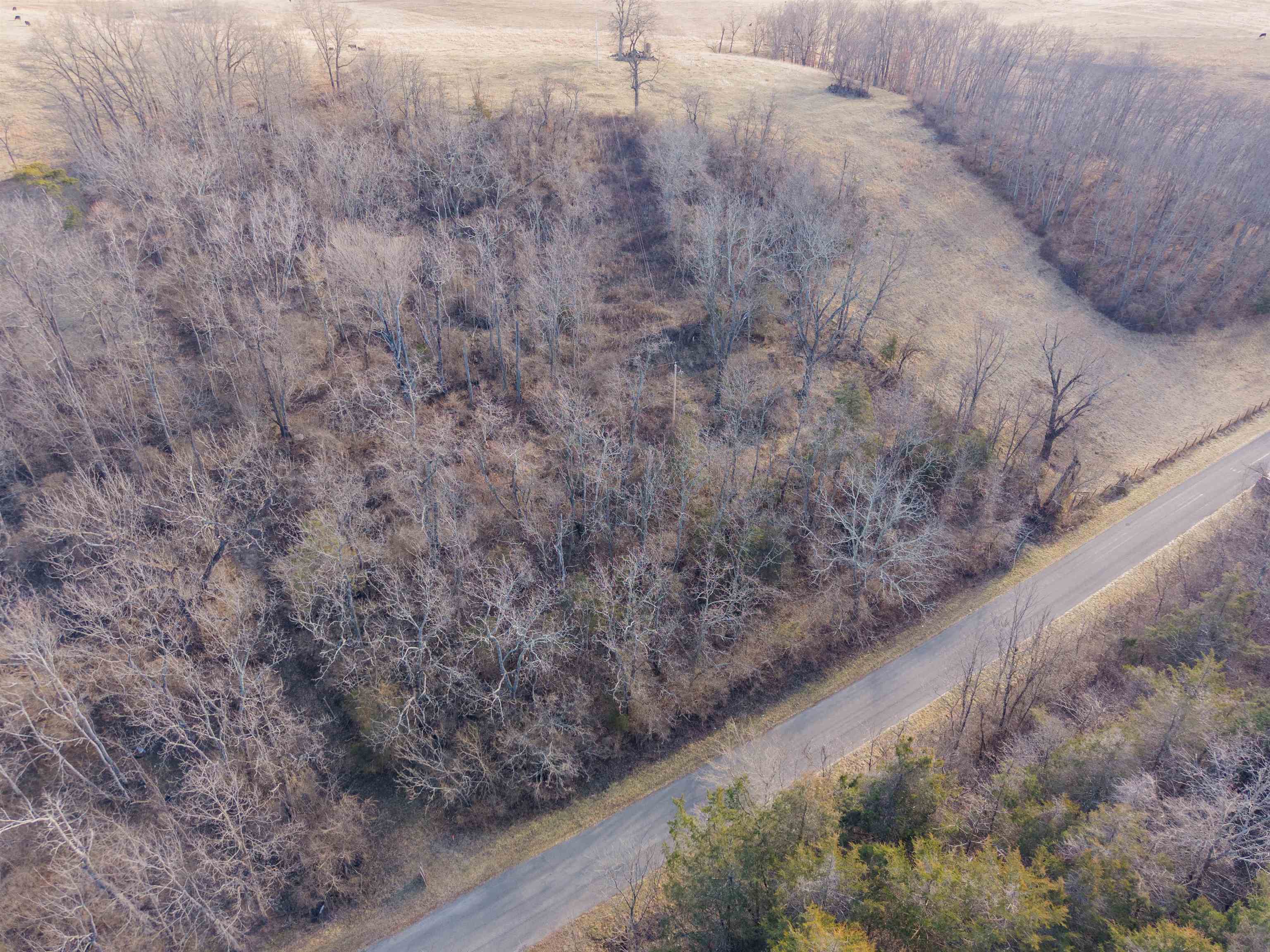 Tbd Towes Ferry Road Dublin VA 24084