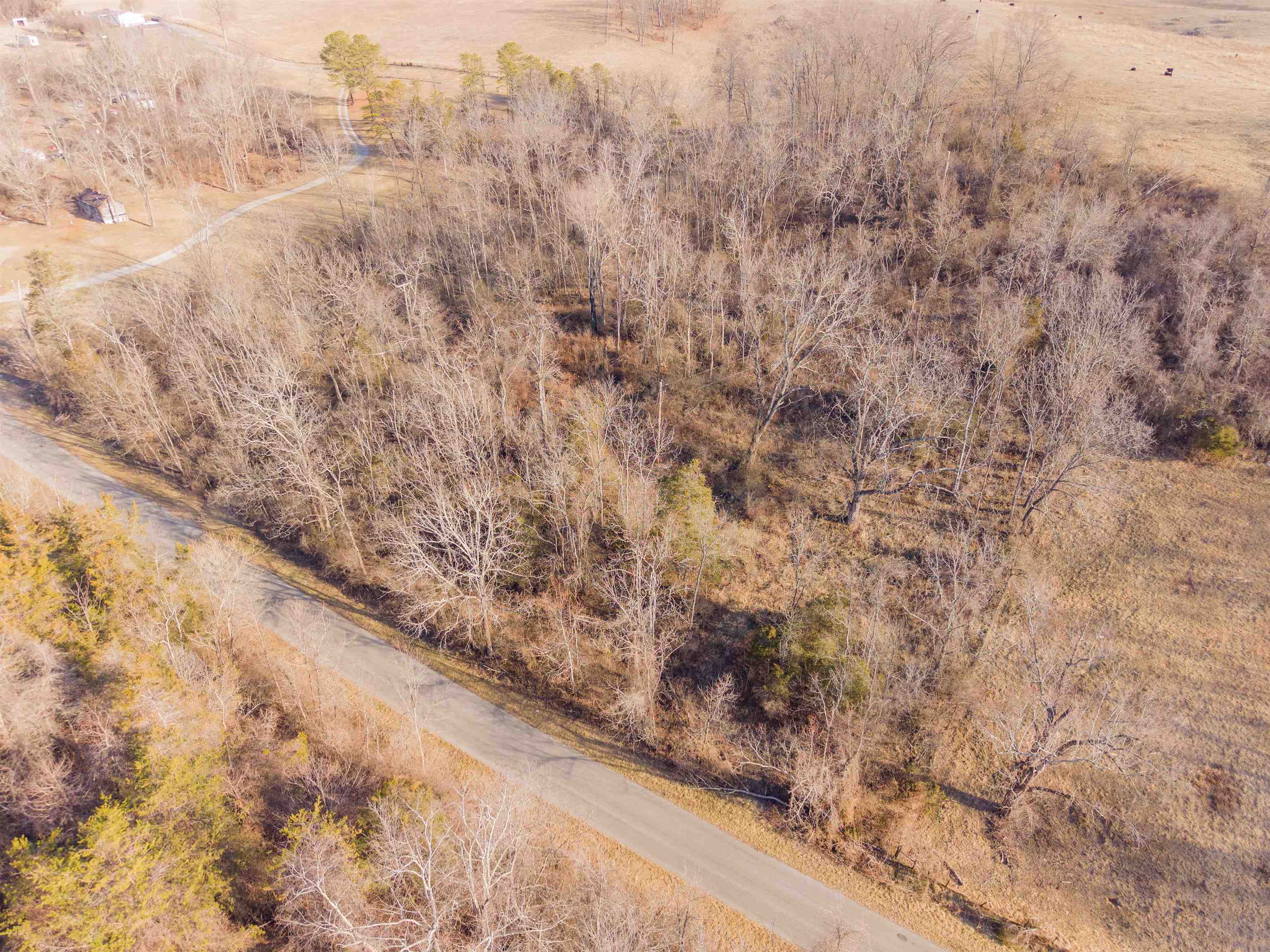 Tbd Towes Ferry Road Dublin VA 24084