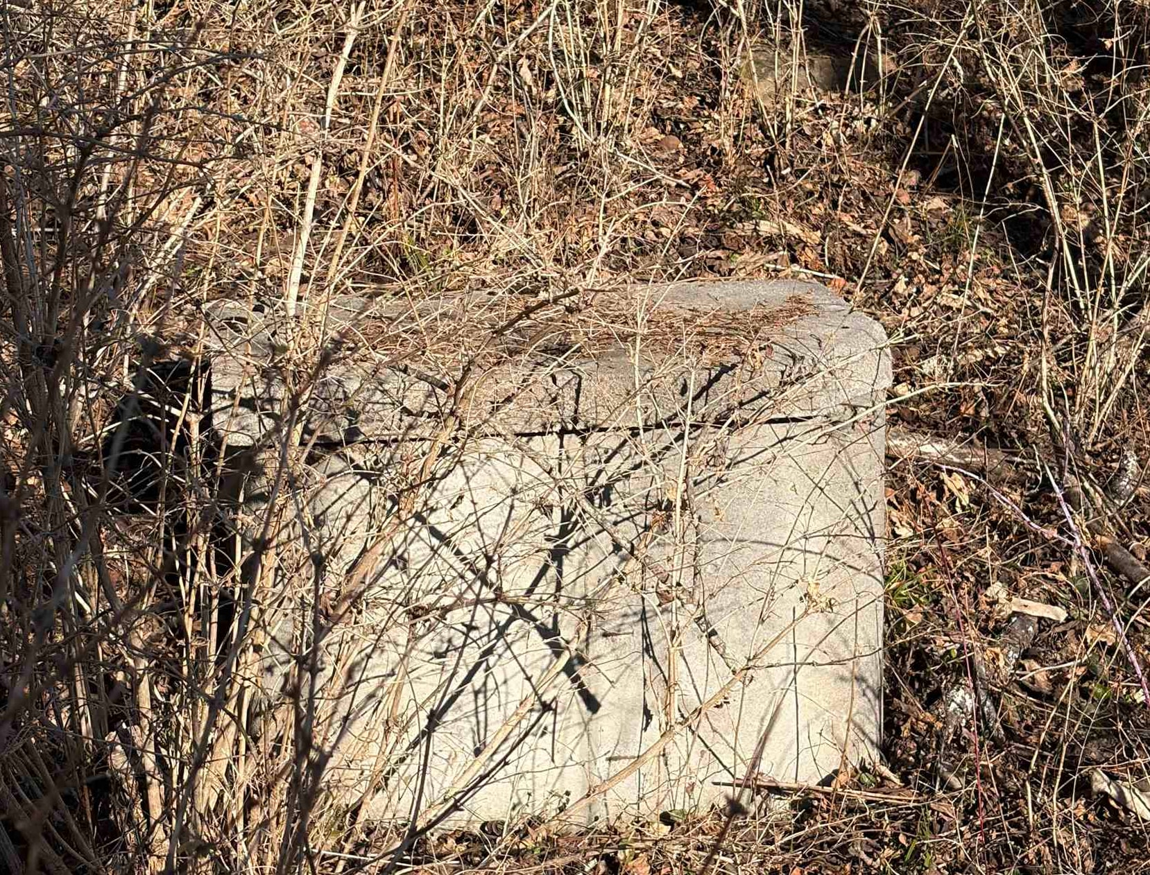 Tbd Towes Ferry Road Dublin VA 24084