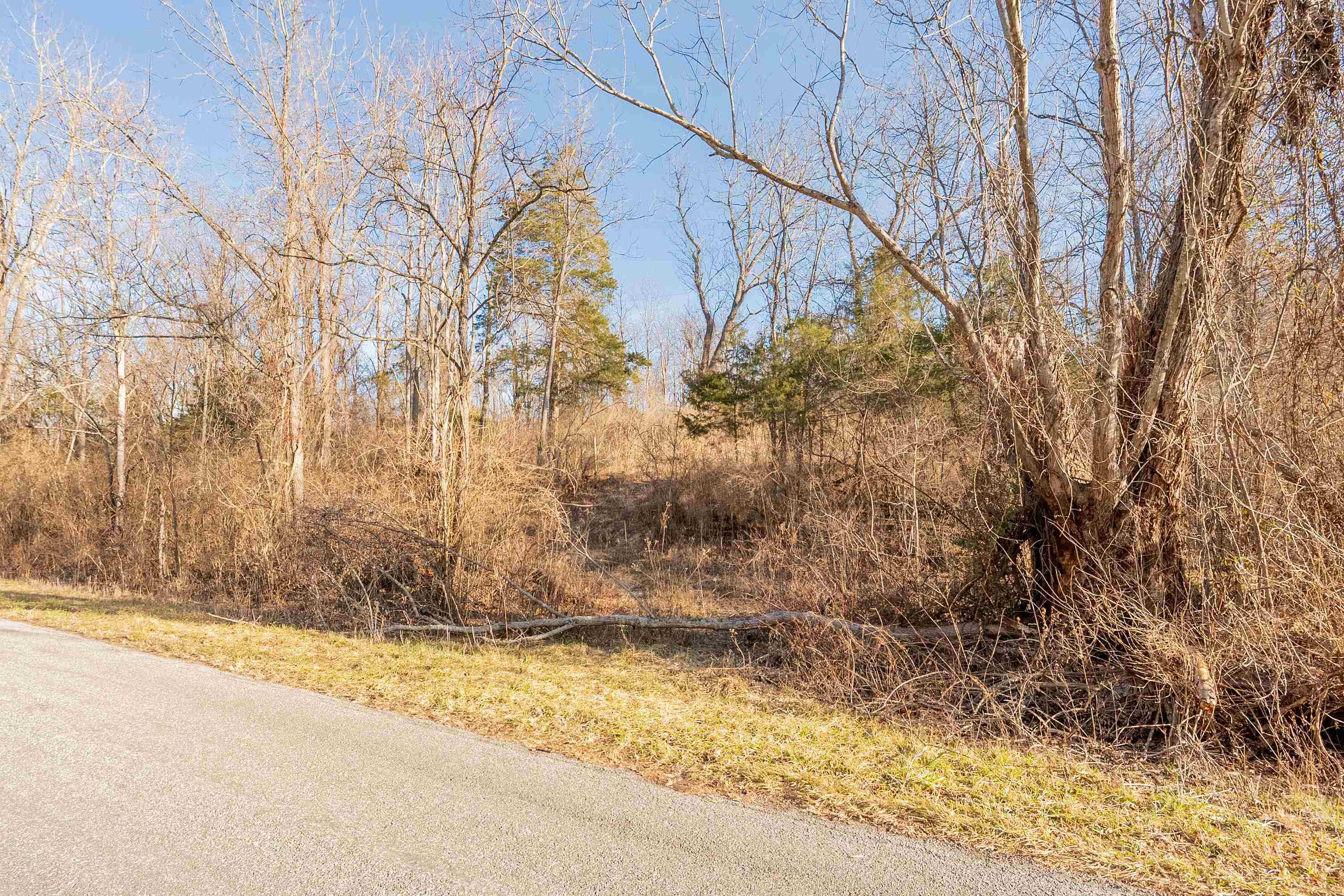 Tbd Towes Ferry Road Dublin VA 24084