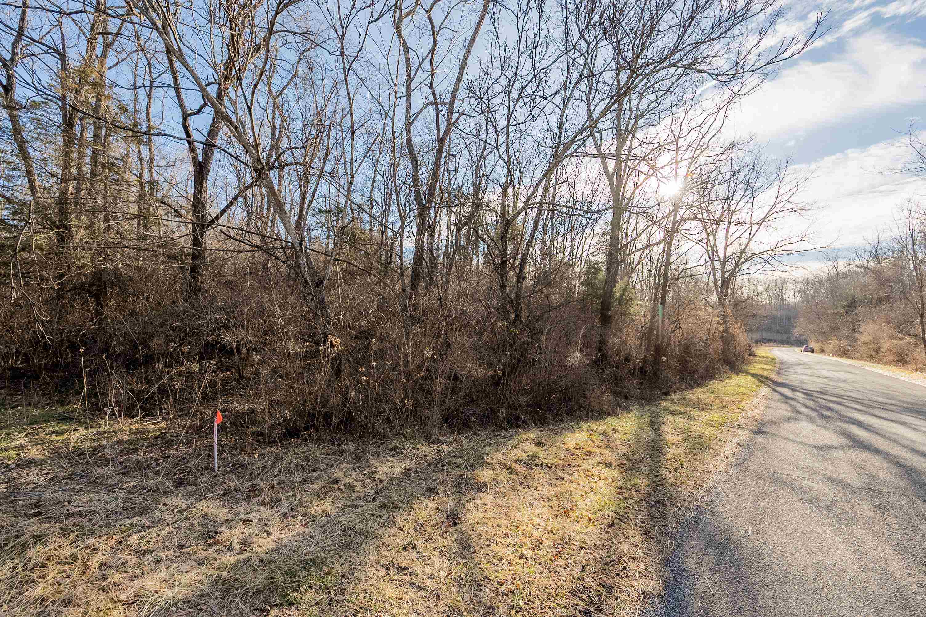 Tbd Towes Ferry Road Dublin VA 24084