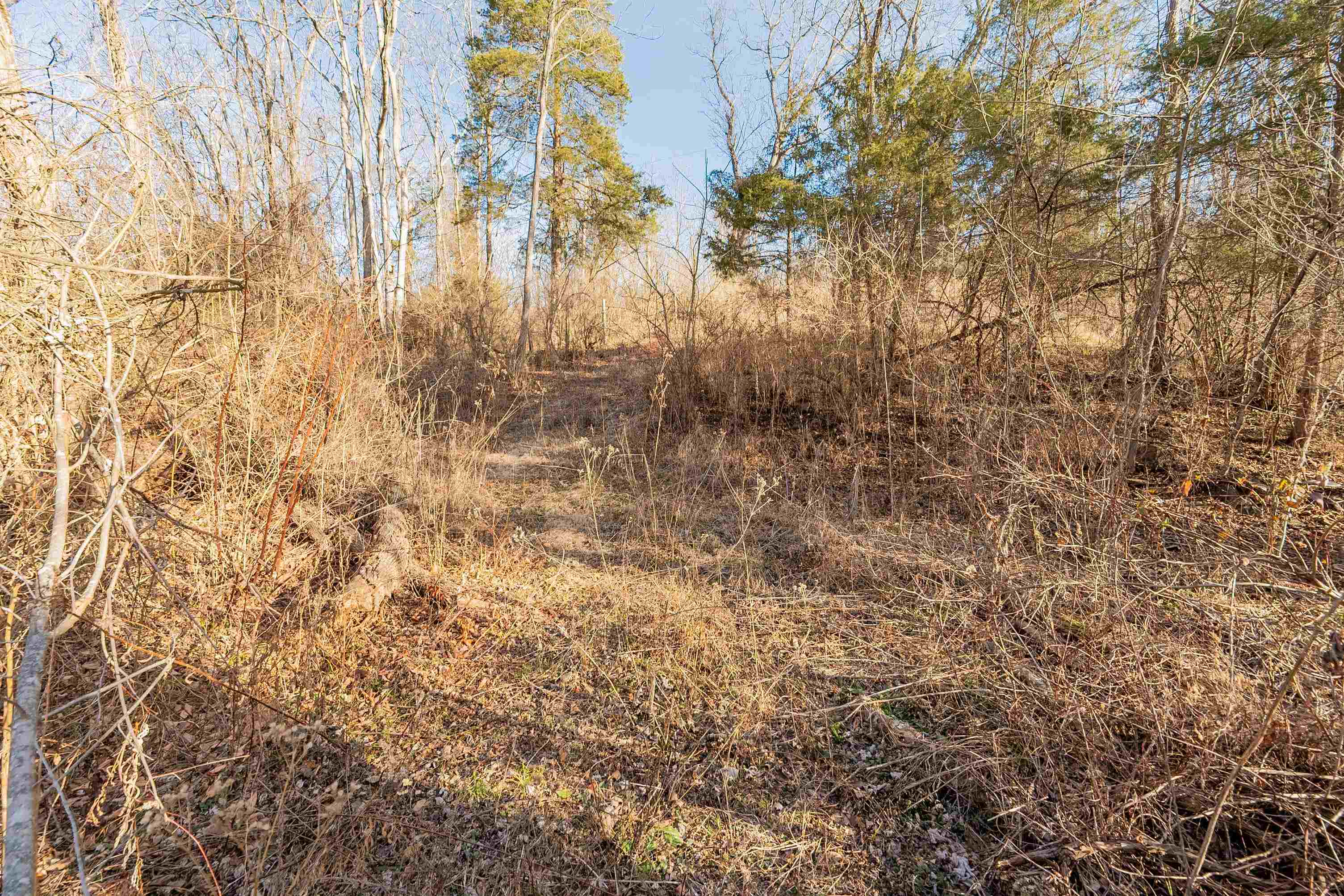 Tbd Towes Ferry Road Dublin VA 24084