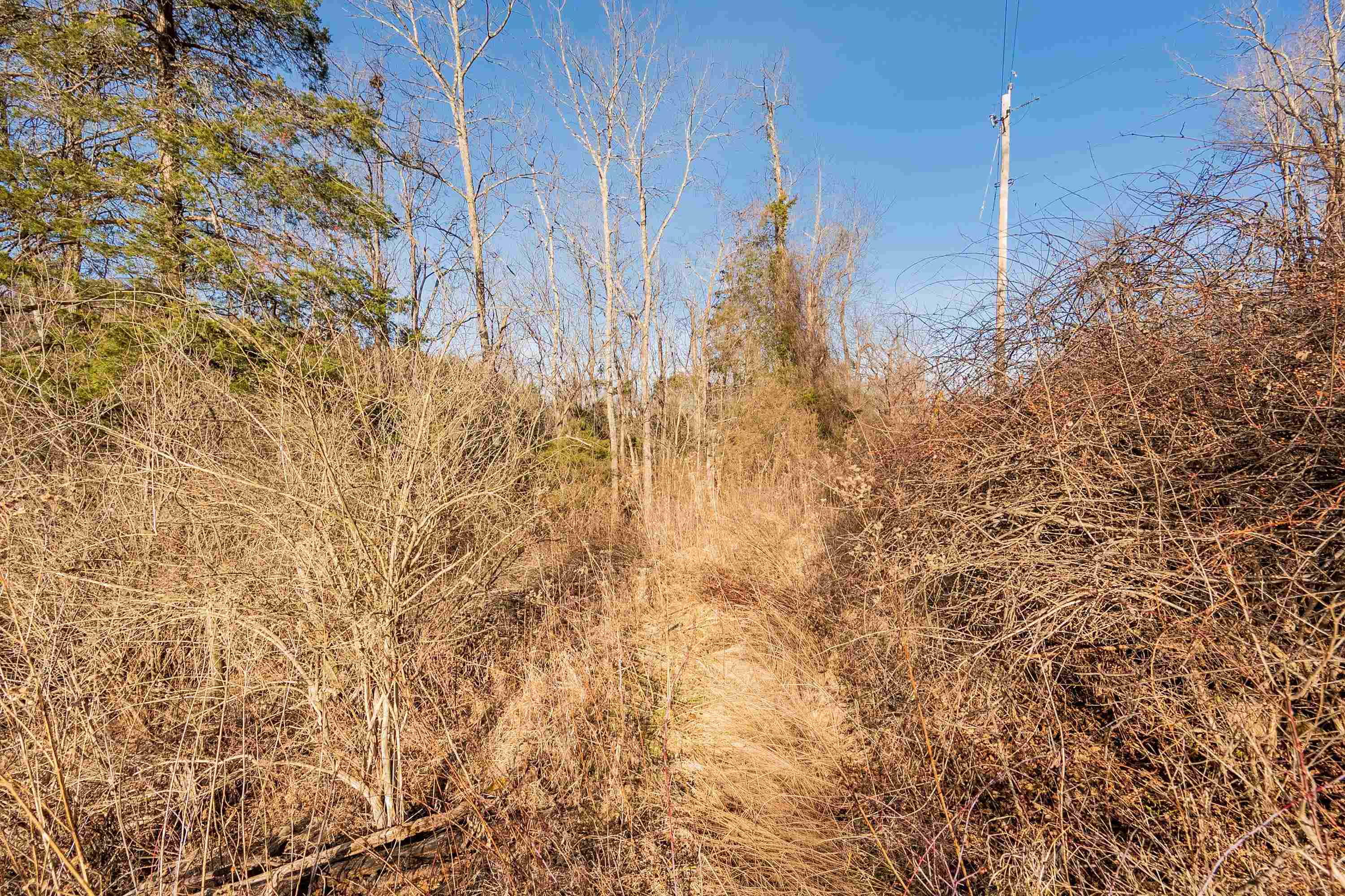 Tbd Towes Ferry Road Dublin VA 24084