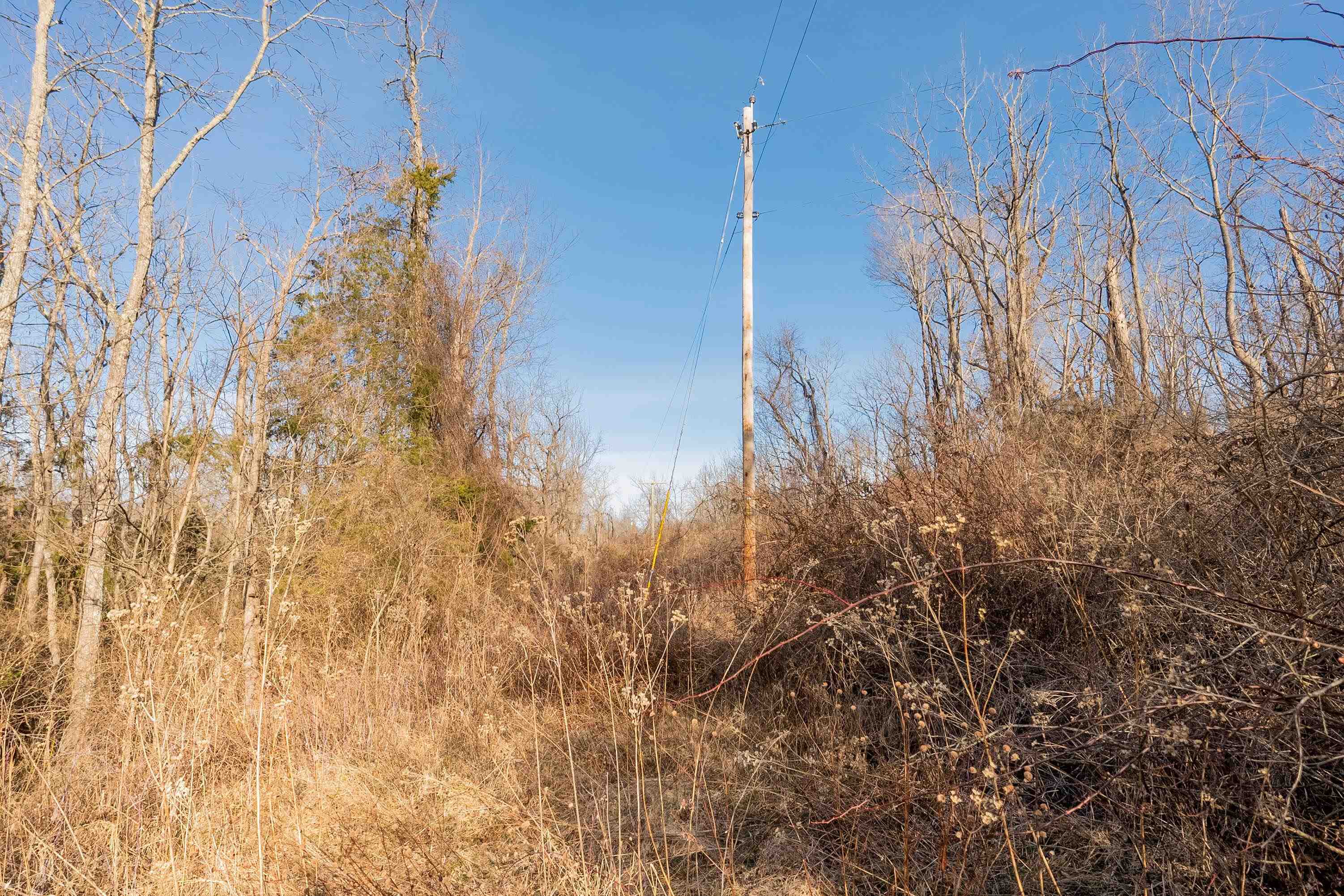 Tbd Towes Ferry Road Dublin VA 24084