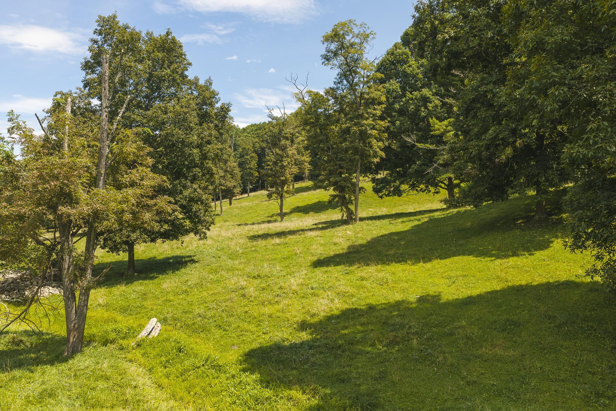 Lot 3 Long Level Road Floyd VA 24091