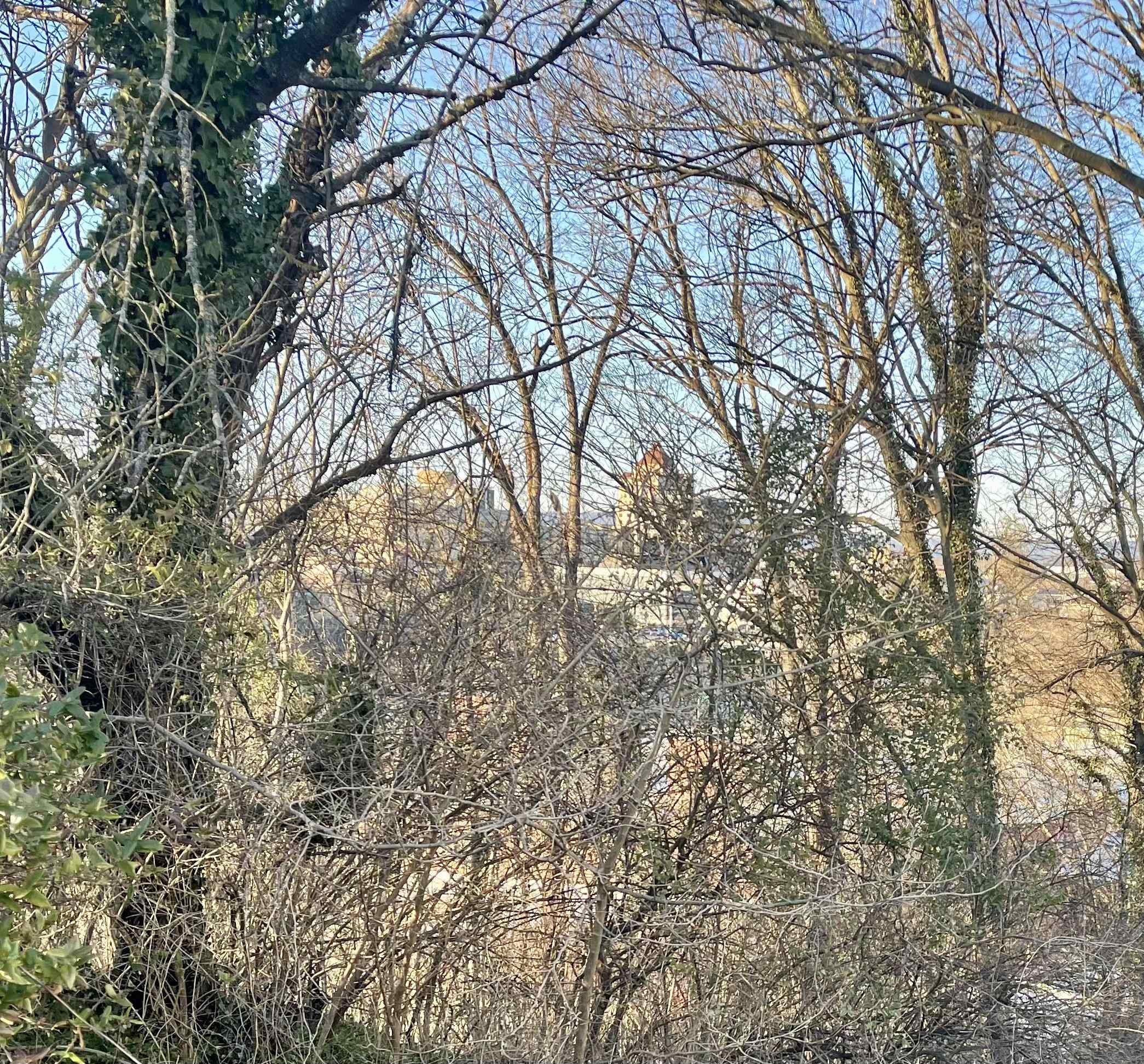 0 SE Cedar Bluff Avenue SE Roanoke VA 24013