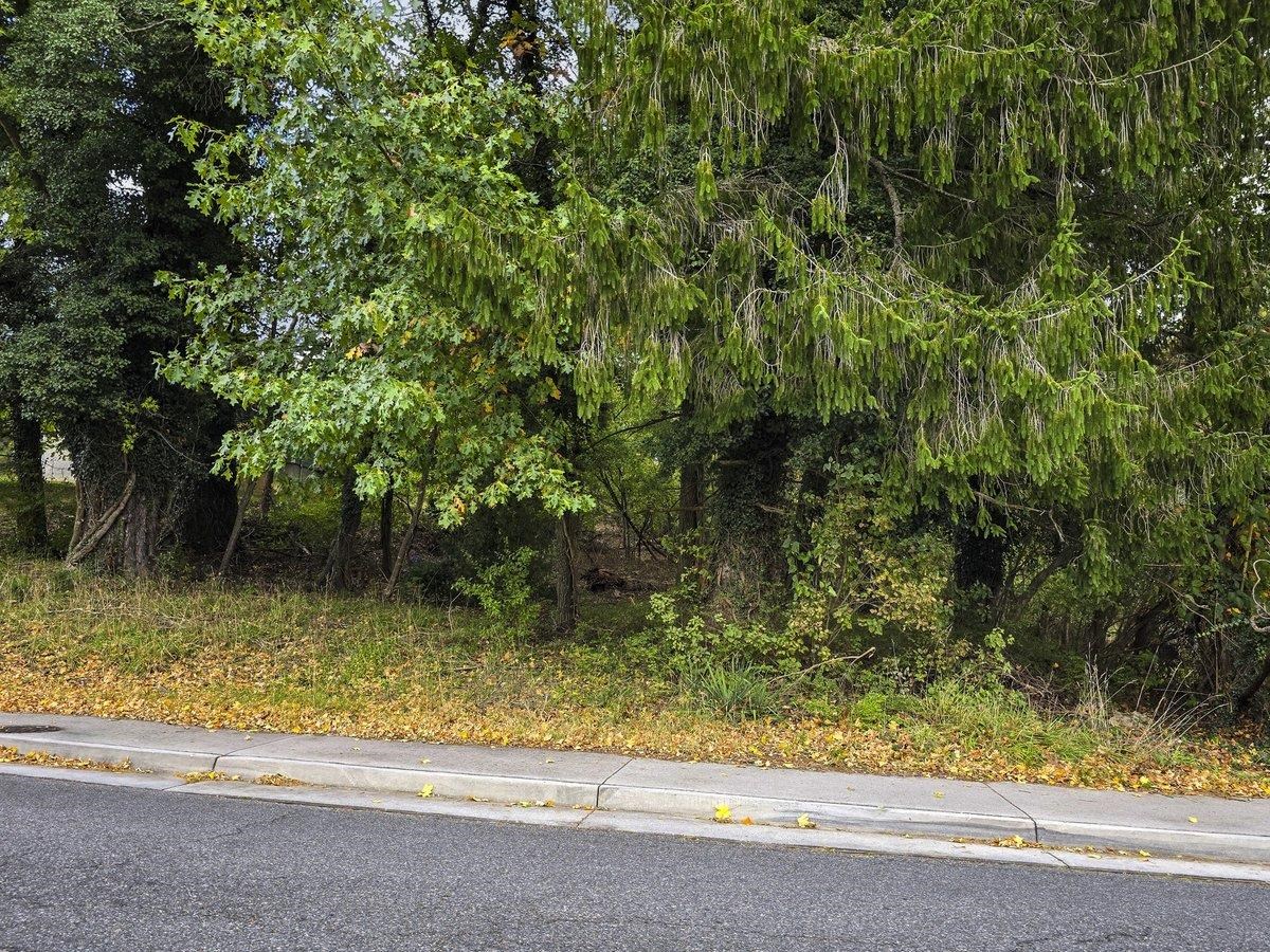 507 Nellies Cave Road Blacksburg VA 24060