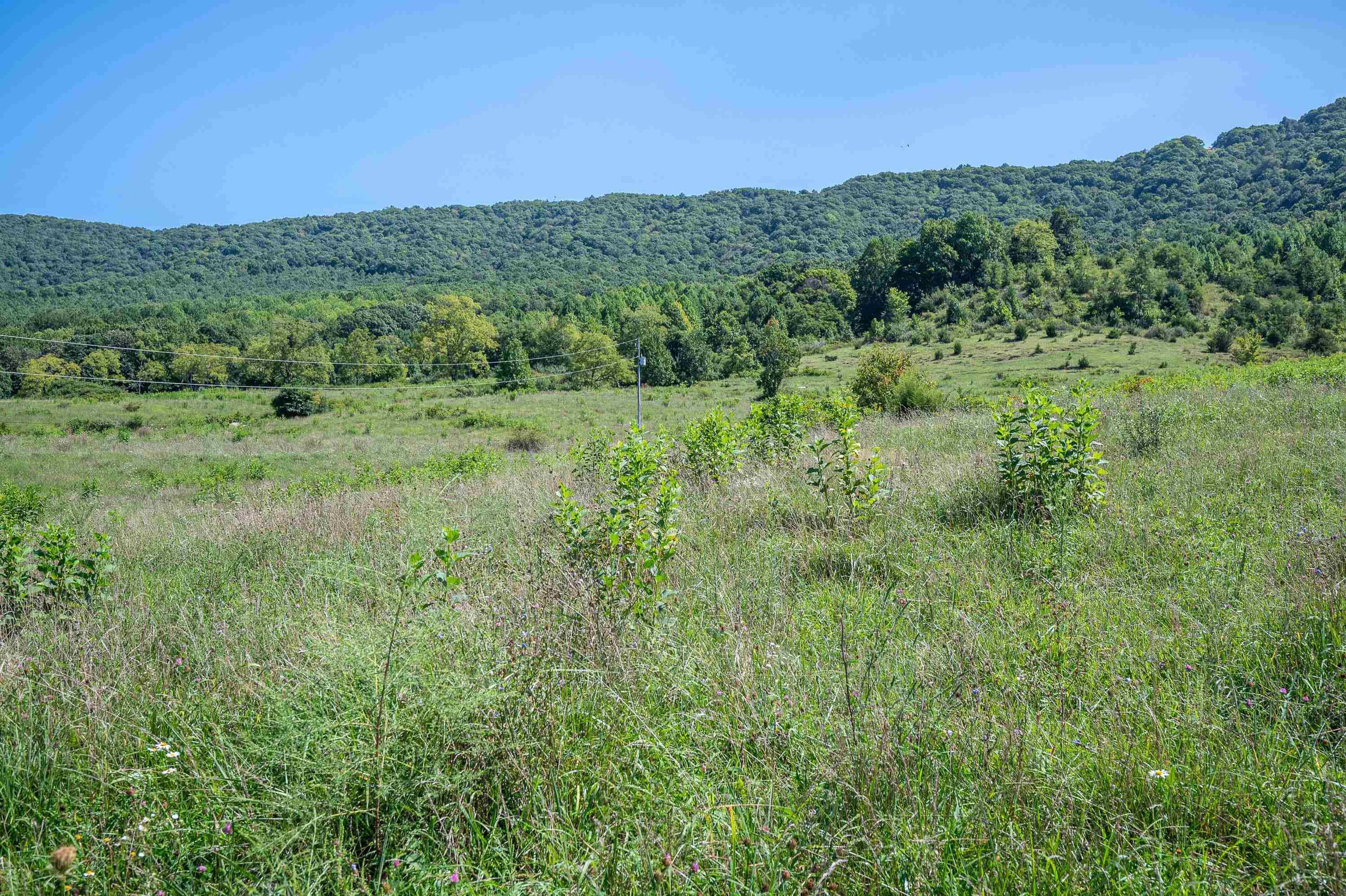 Tbd Crystal Lane Narrows VA 24124