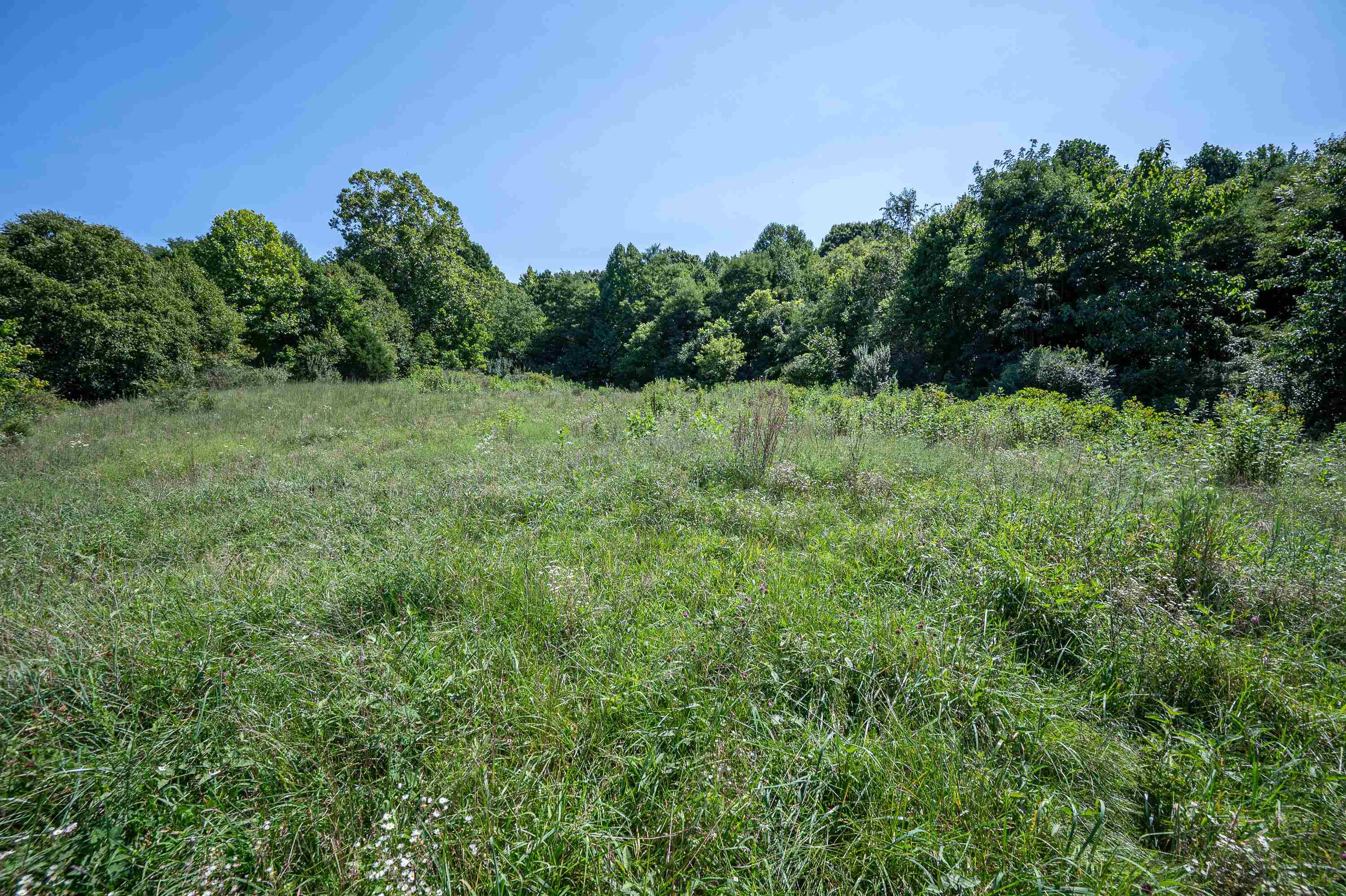 Tbd Crystal Lane Narrows VA 24124
