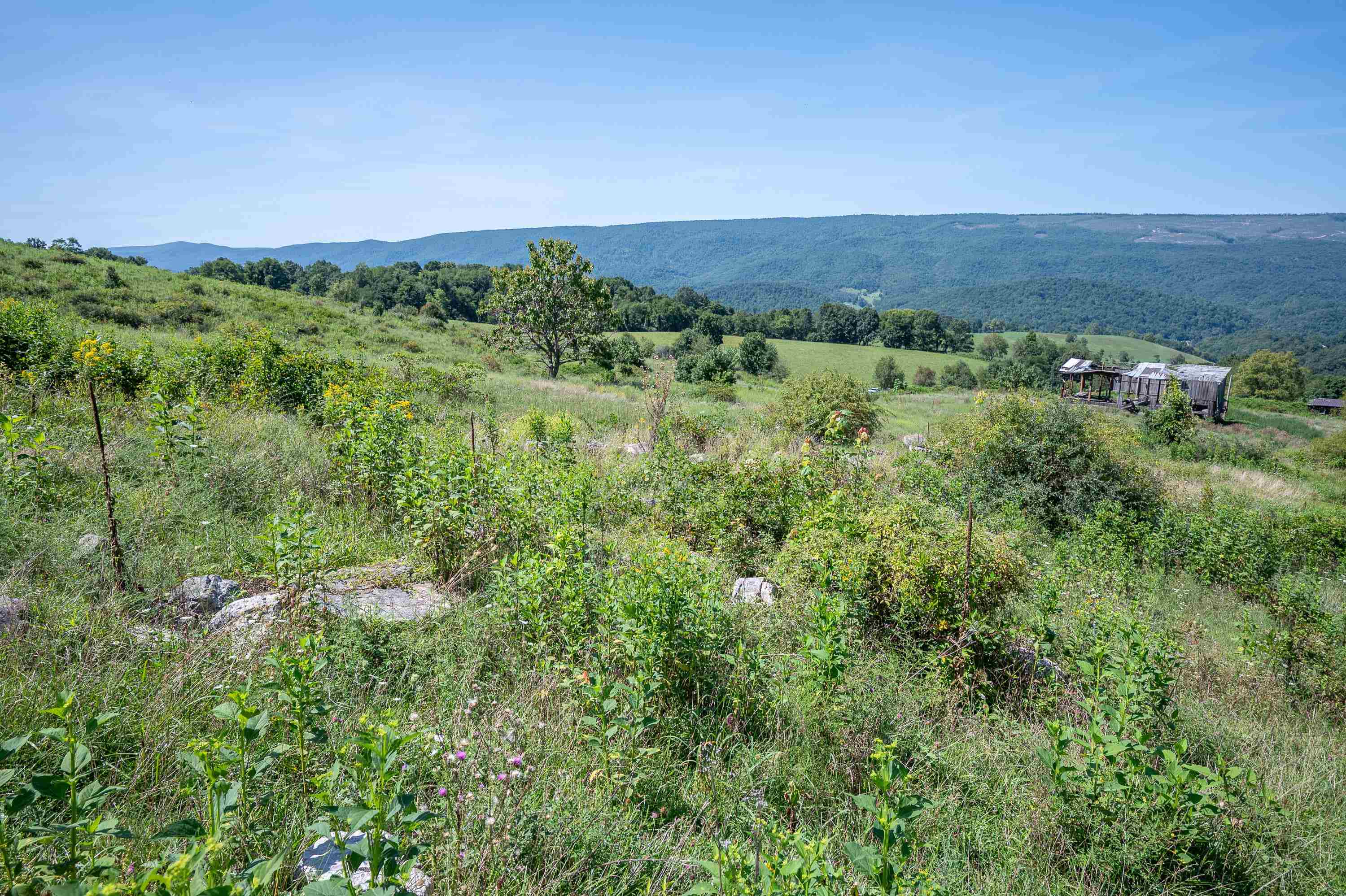 Tbd Crystal Lane Narrows VA 24124