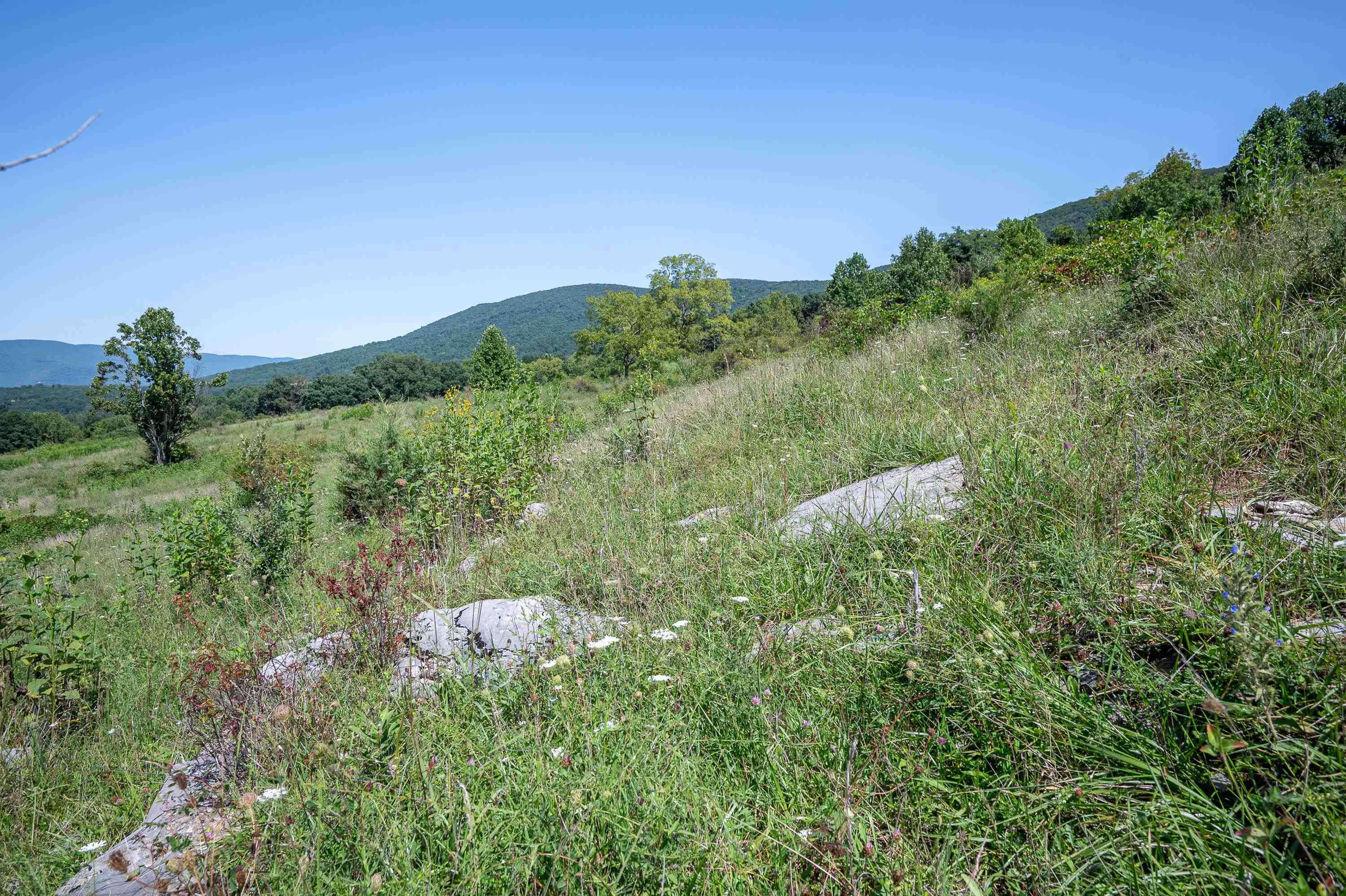 Tbd Crystal Lane Narrows VA 24124