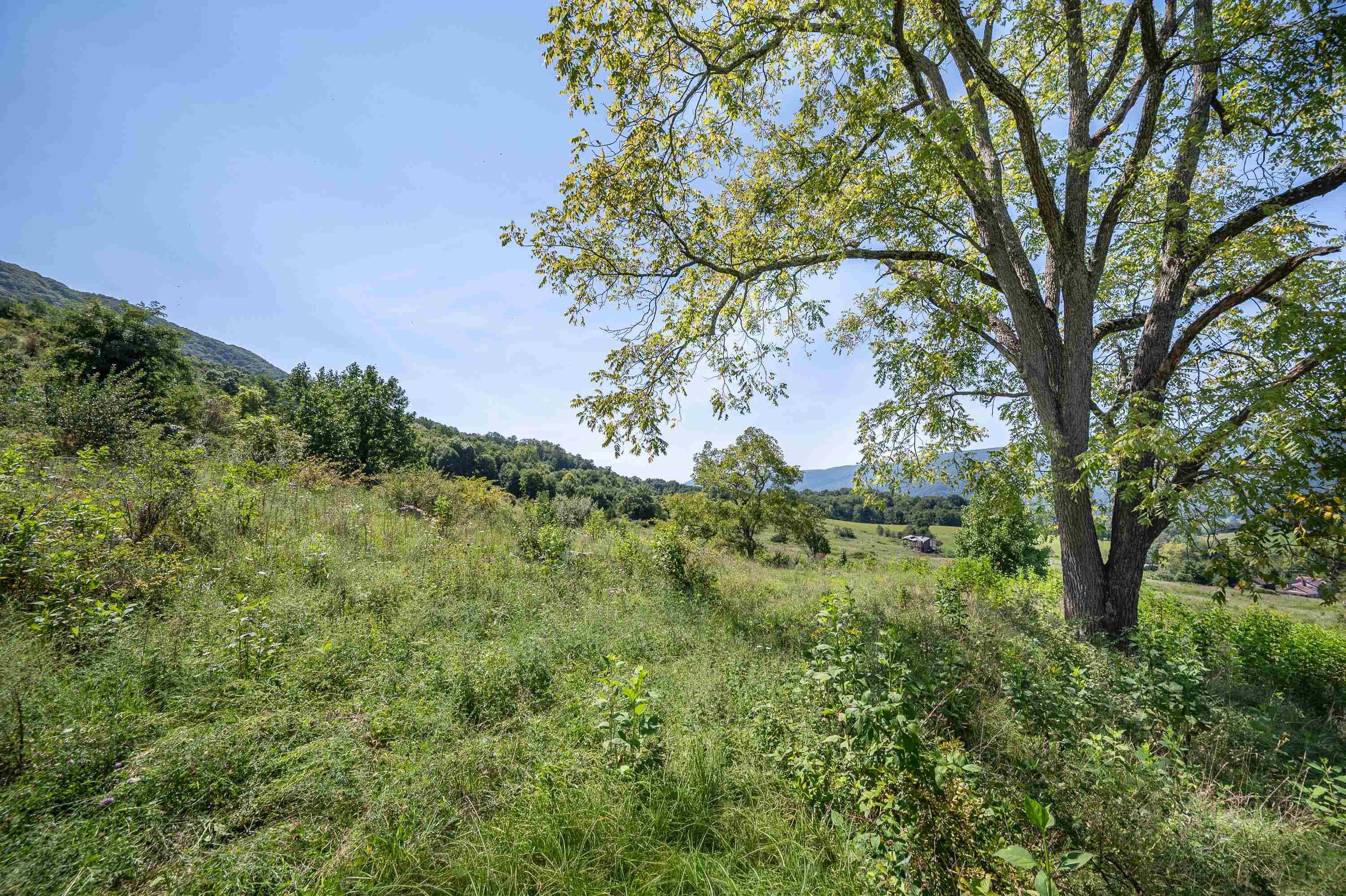 Tbd Crystal Lane Narrows VA 24124
