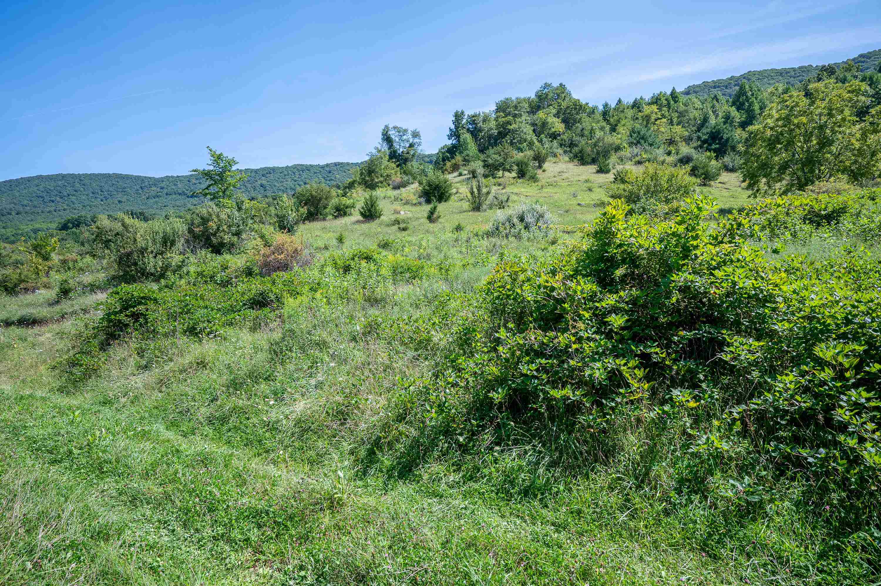 Tbd Crystal Lane Narrows VA 24124