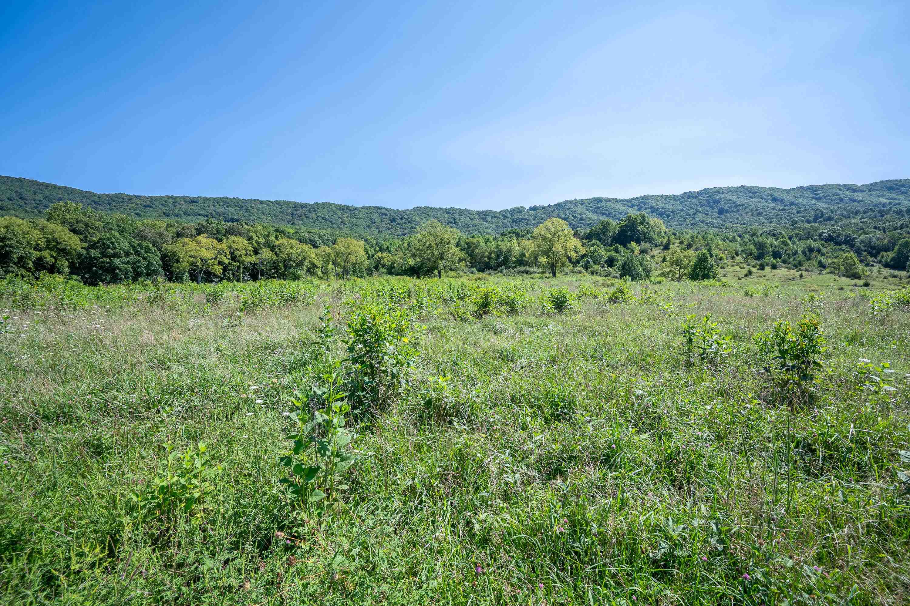 Tbd Crystal Lane Narrows VA 24124