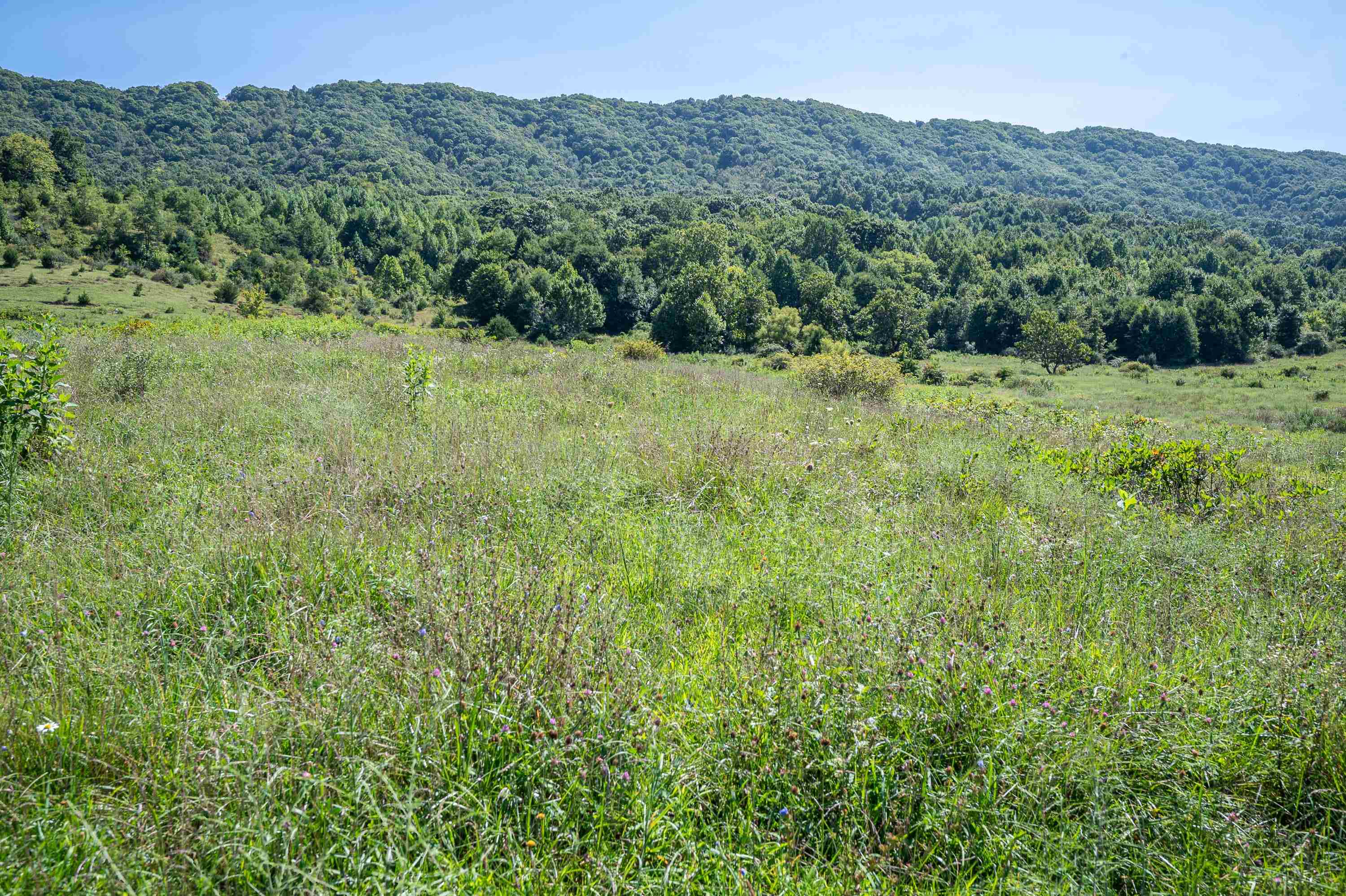 Tbd Crystal Lane Narrows VA 24124