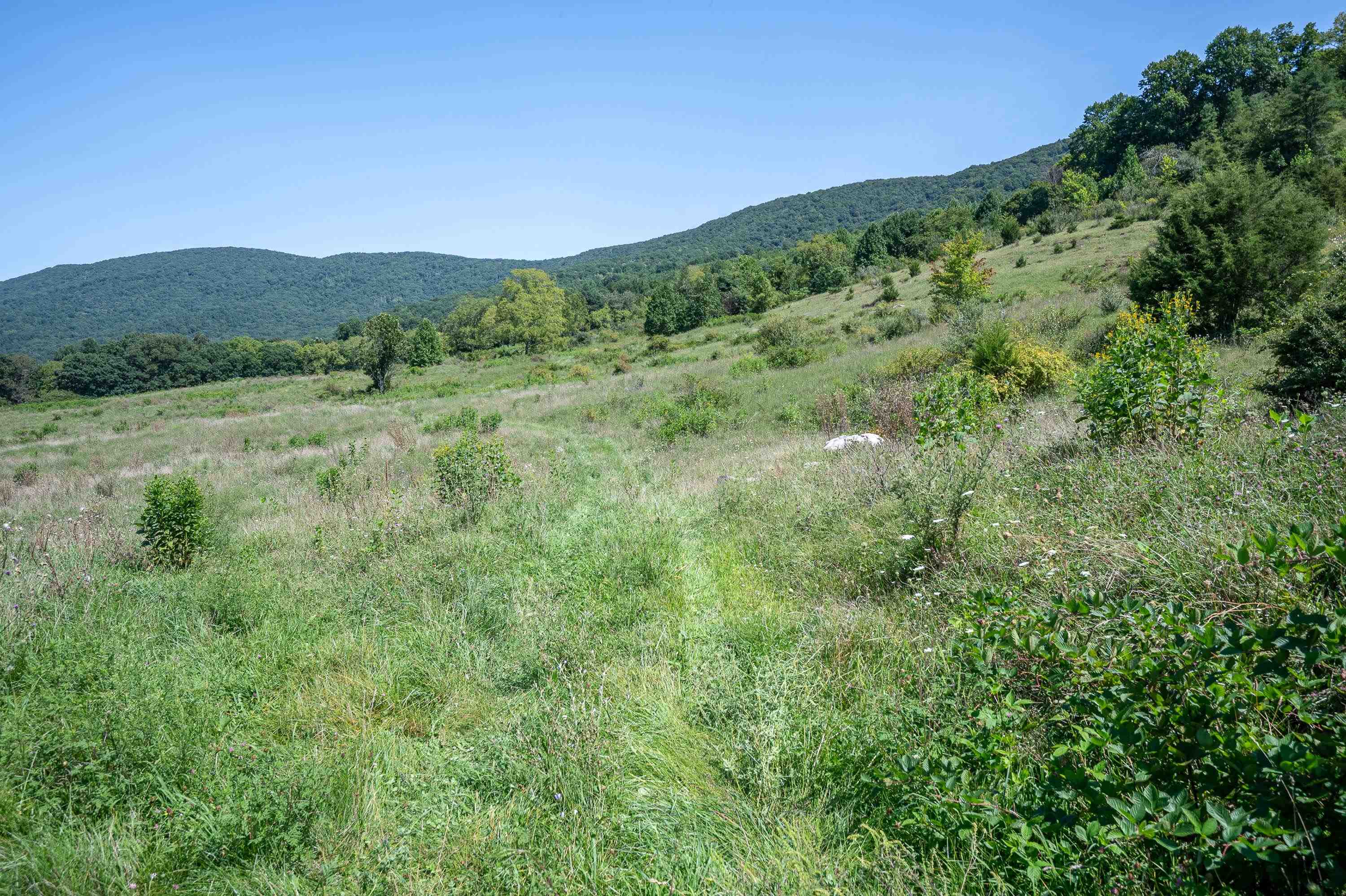 Tbd Crystal Lane Narrows VA 24124