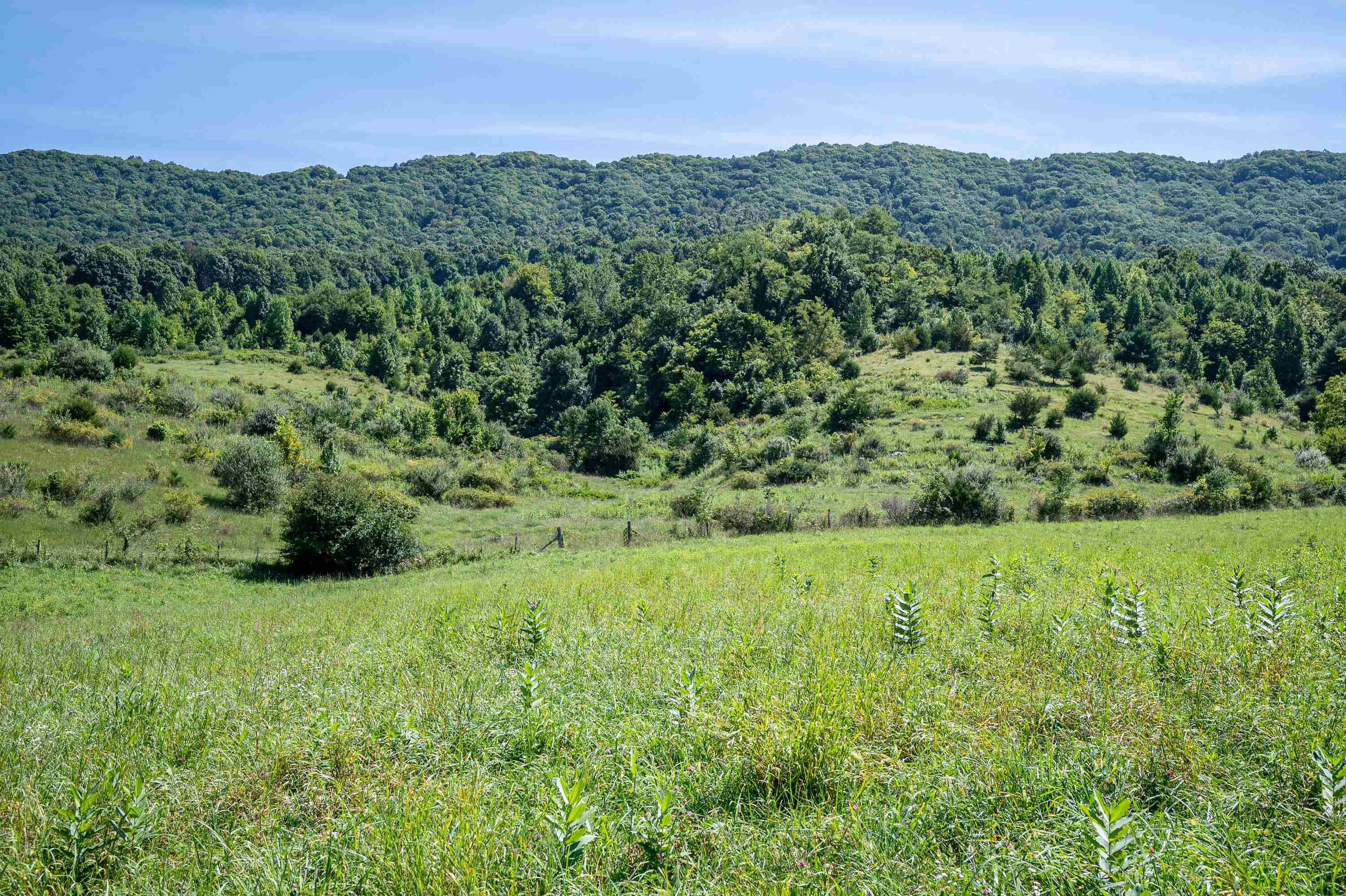 Tbd Crystal Lane Narrows VA 24124