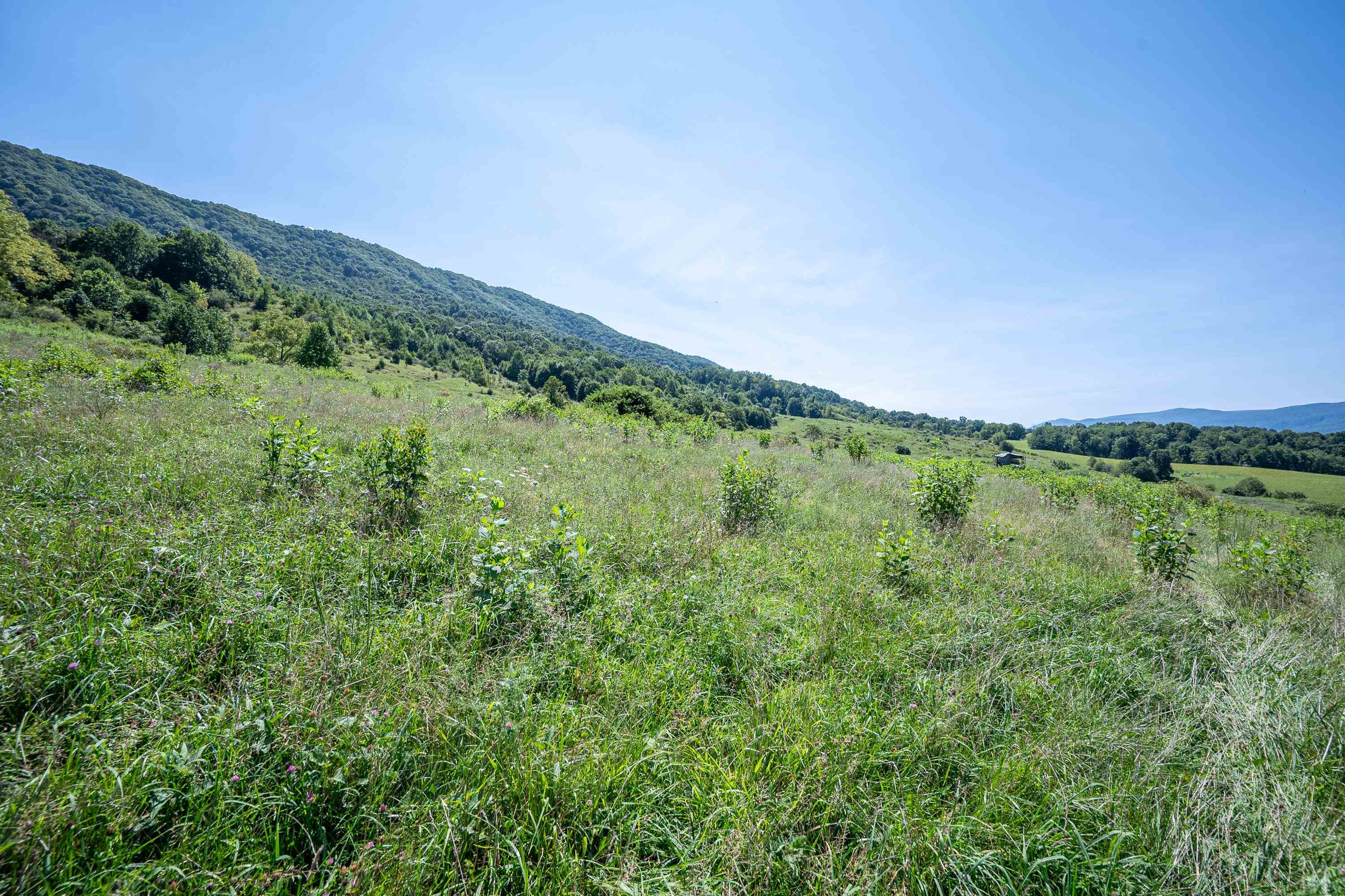 Tbd Crystal Lane Narrows VA 24124