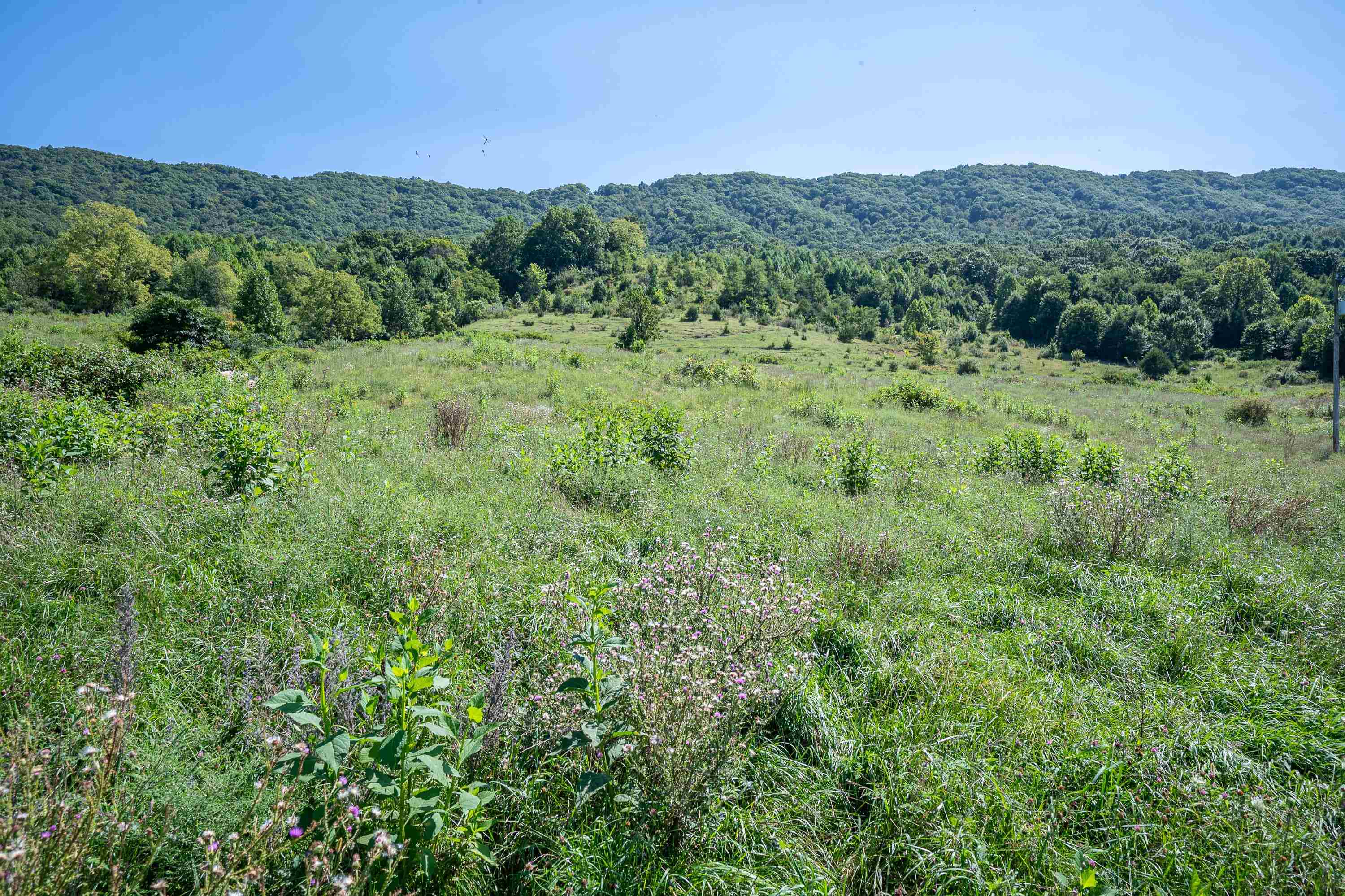 Tbd Crystal Lane Narrows VA 24124