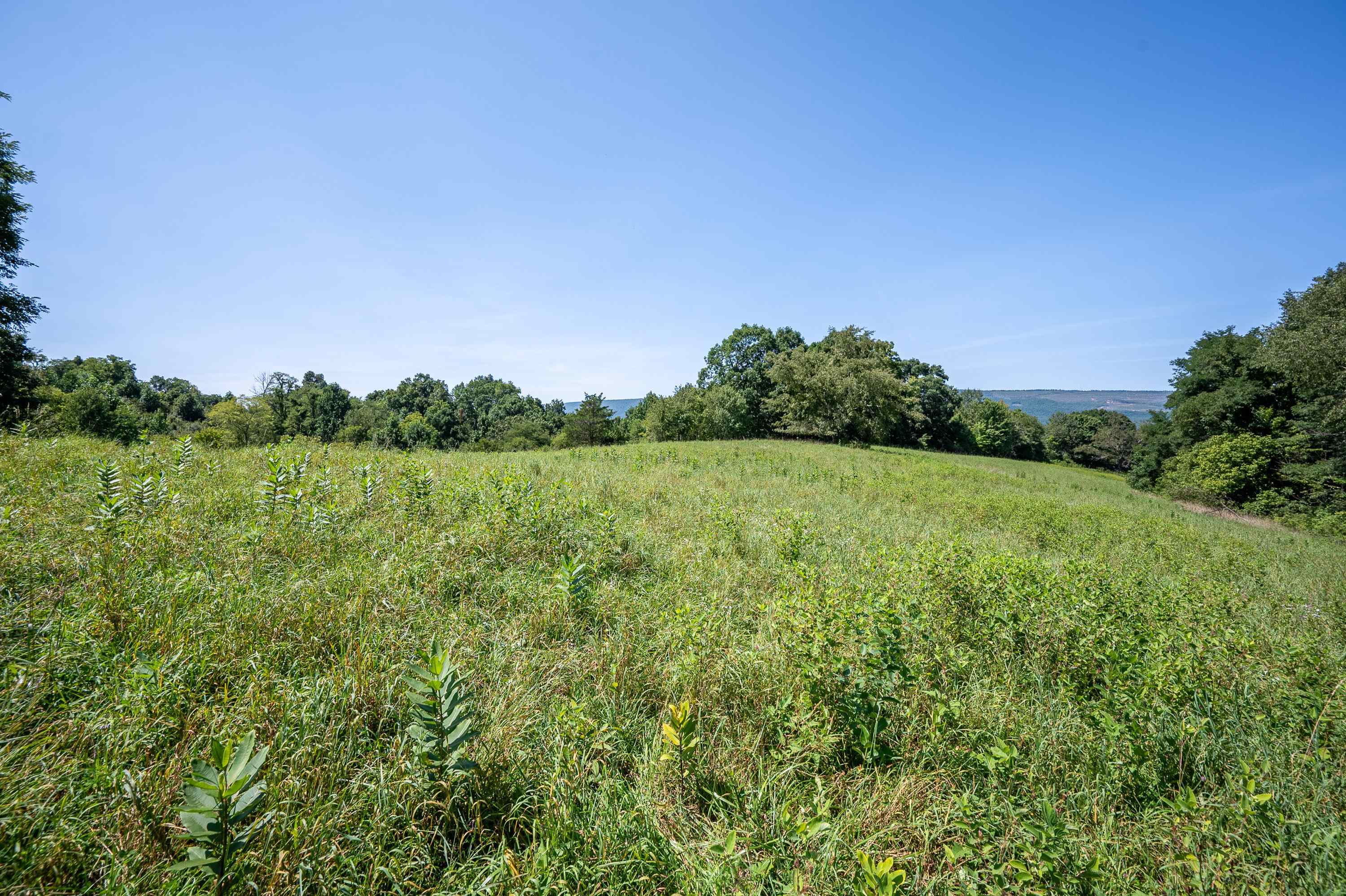 Tbd Crystal Lane Narrows VA 24124