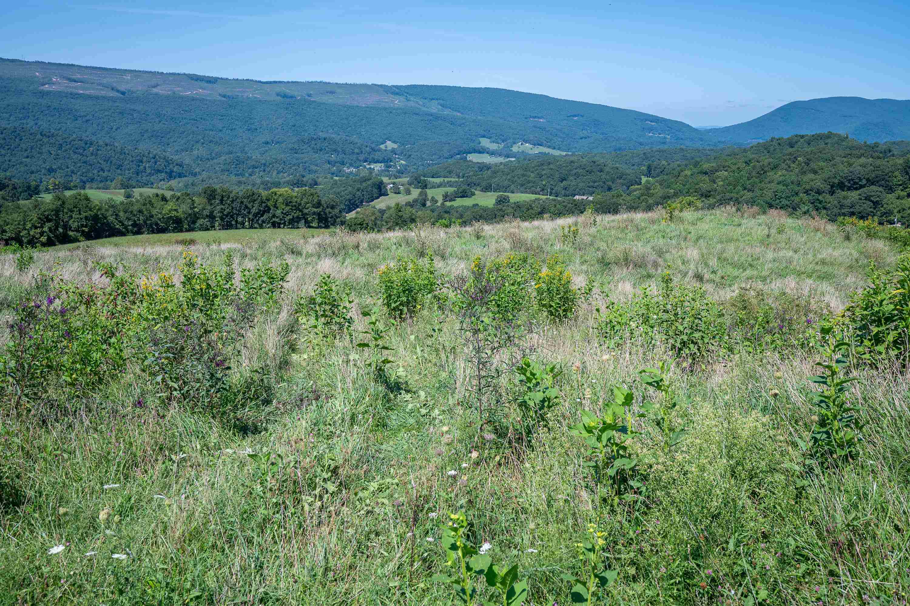 Tbd Crystal Lane Narrows VA 24124