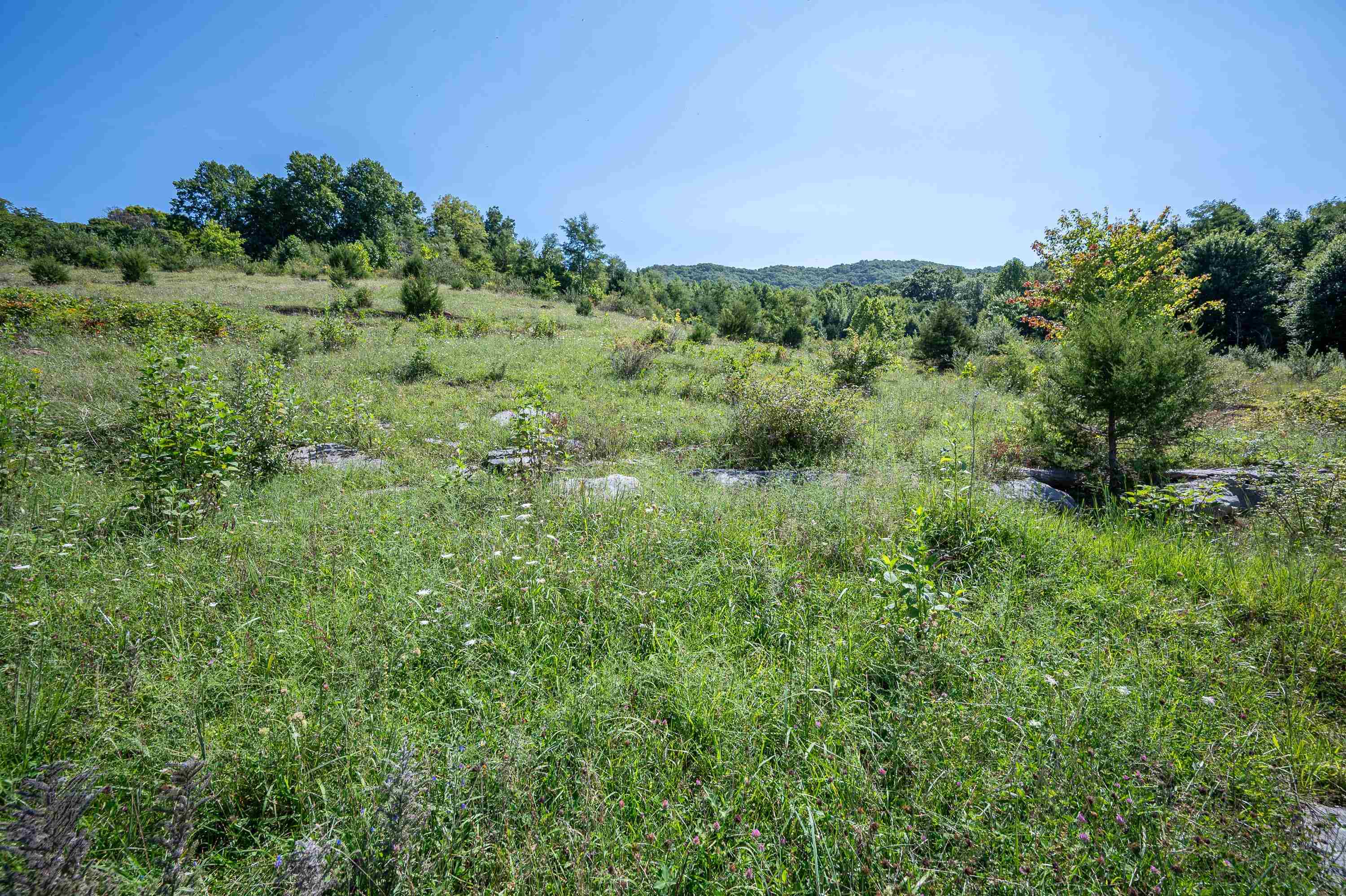 Tbd Crystal Lane Narrows VA 24124