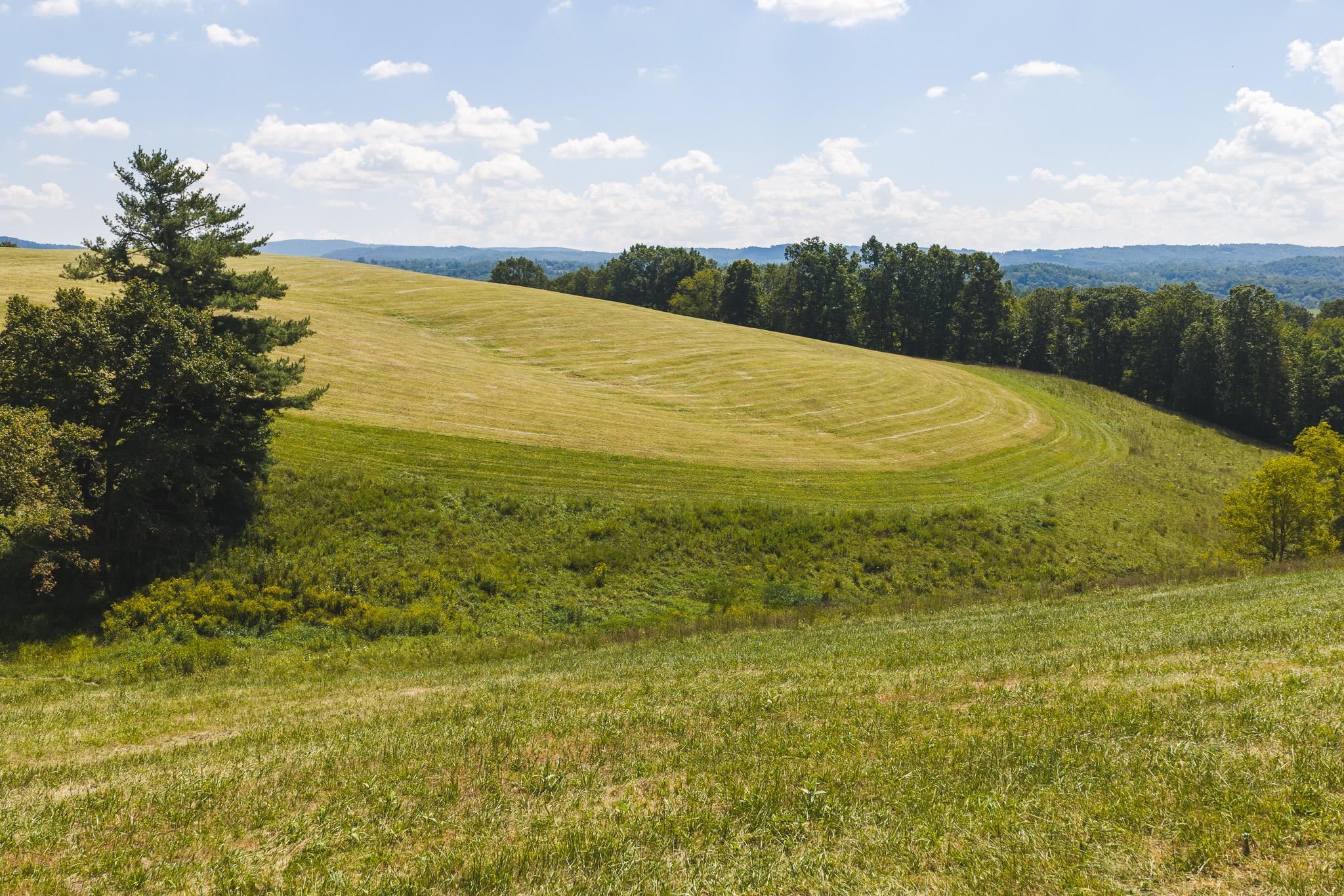 5902 Chestnut Ridge Road Riner VA 24149