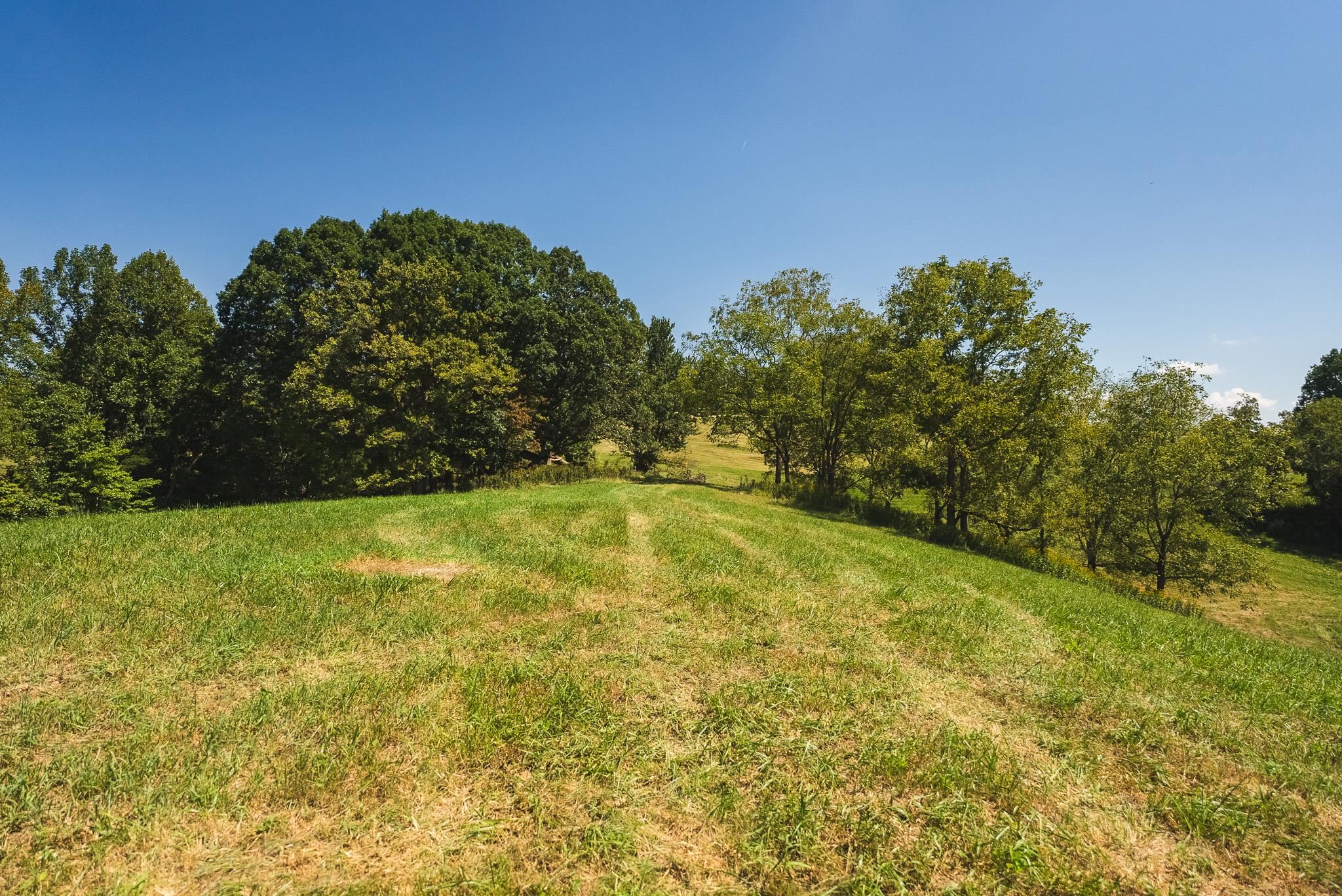 5902 Chestnut Ridge Road Riner VA 24149