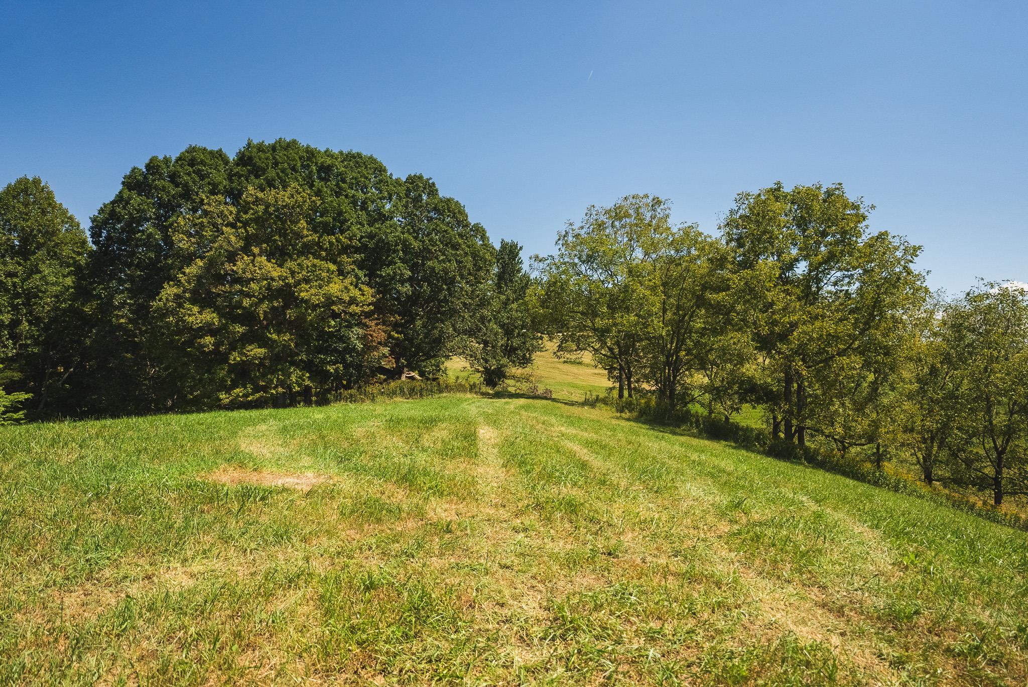 5902 Chestnut Ridge Road Riner VA 24149