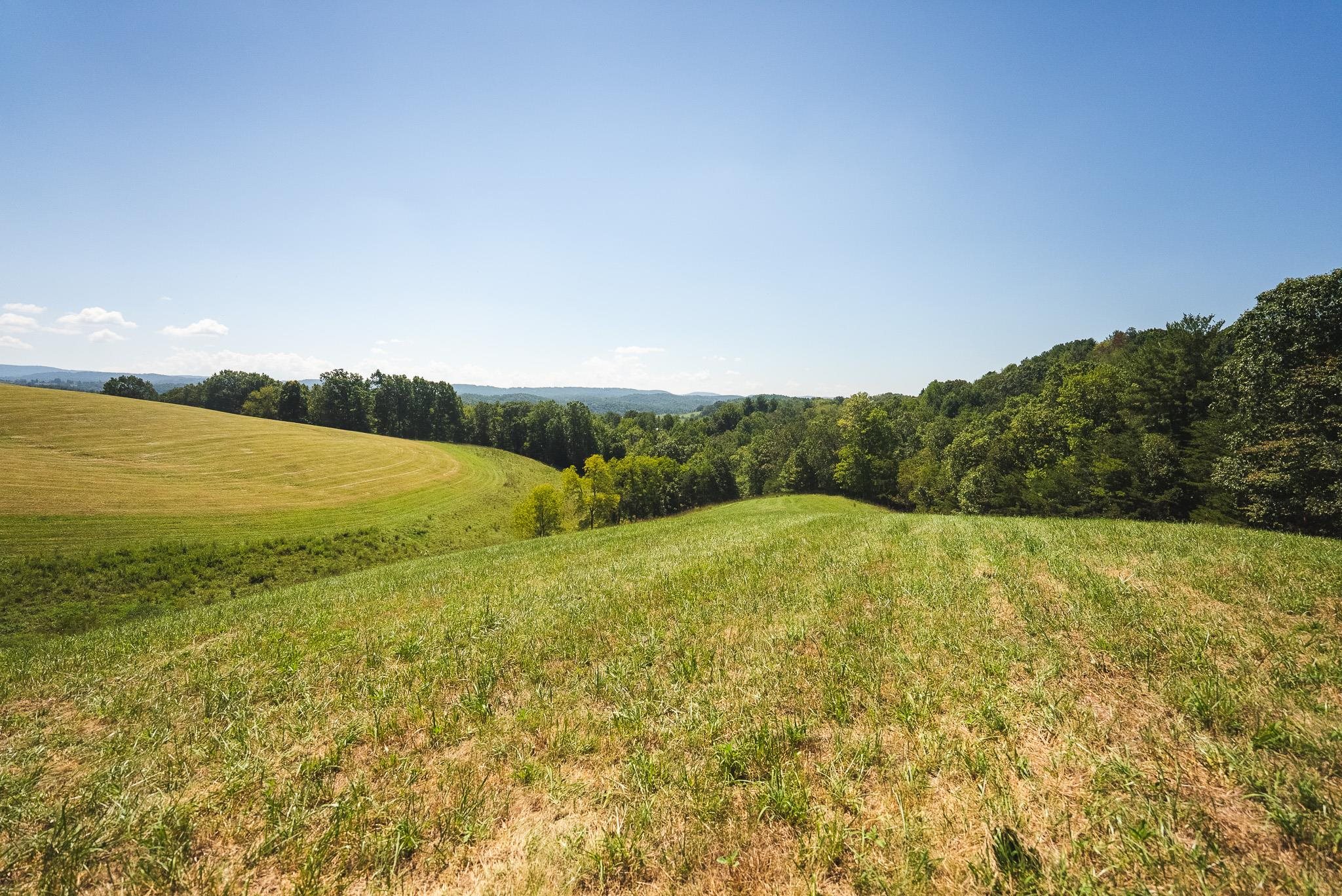 5902 Chestnut Ridge Road Riner VA 24149