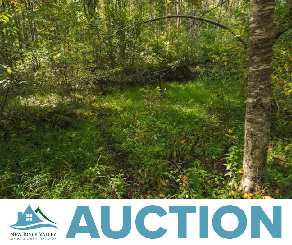 Lot 1 Twin Falls Road NE Copper Hill VA 24079