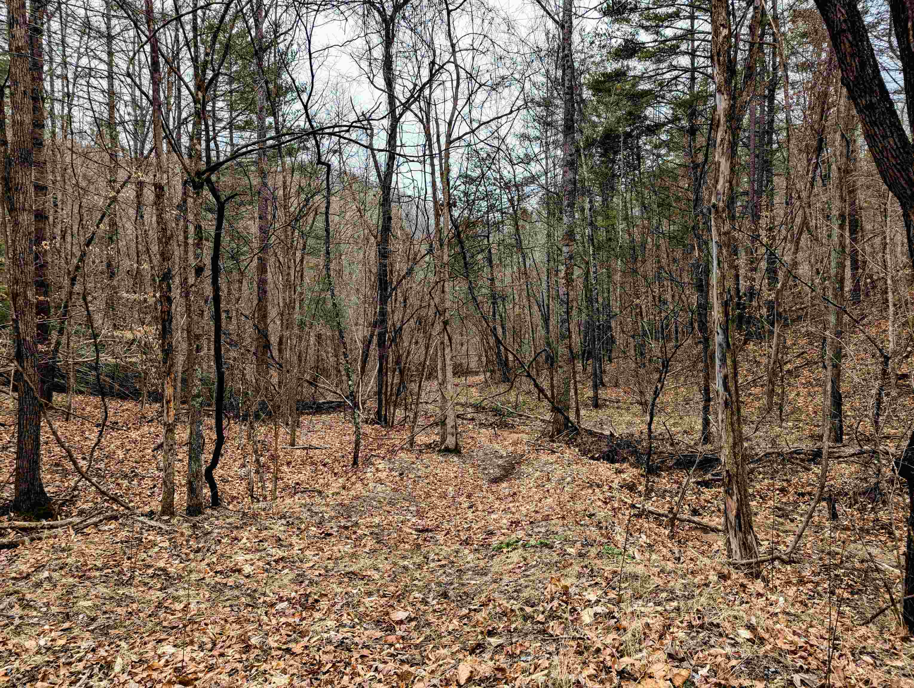 Tbd Yates Road Shawsville VA 24162