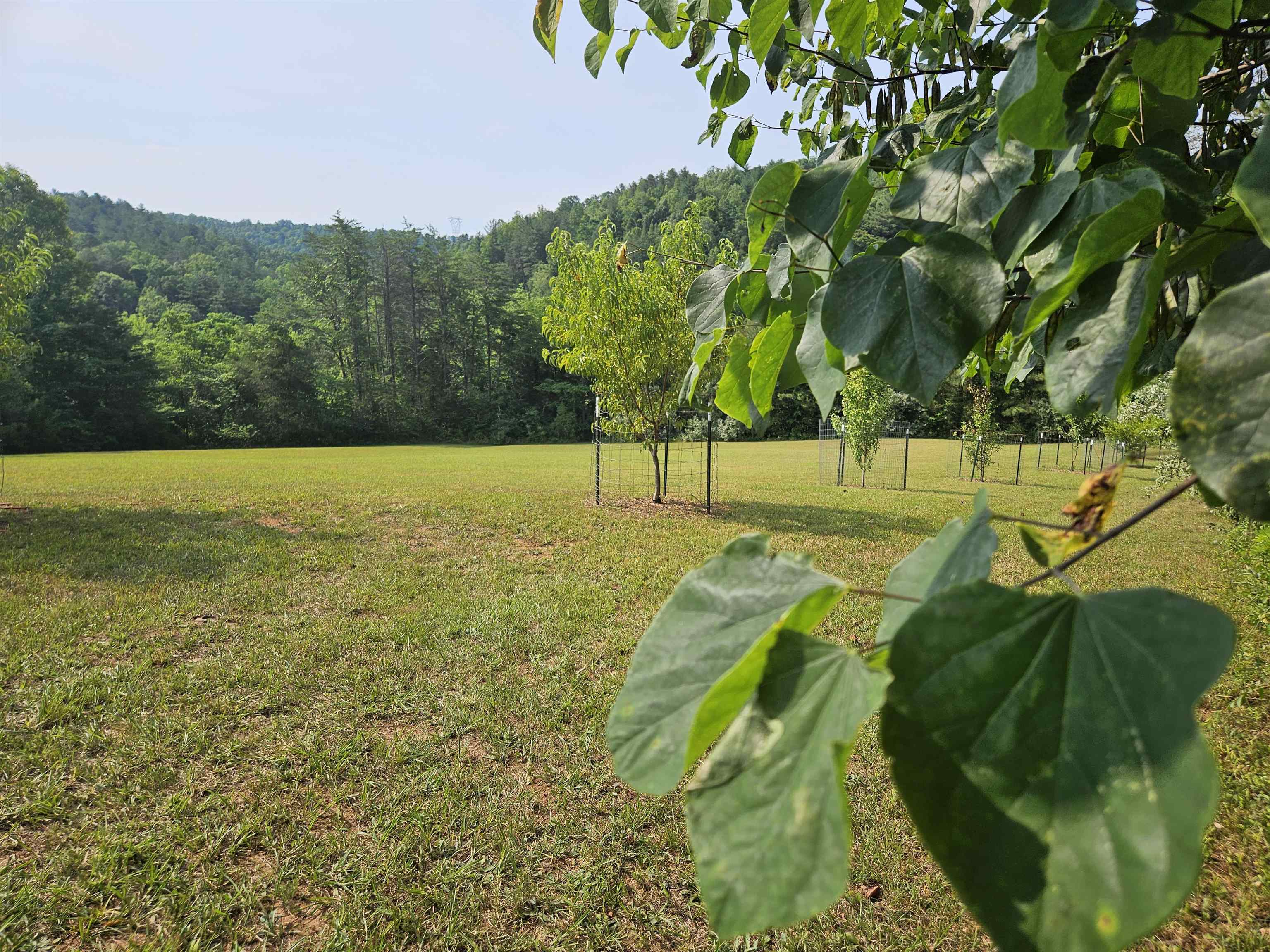 189 Artist Trail Ferrum VA 24088