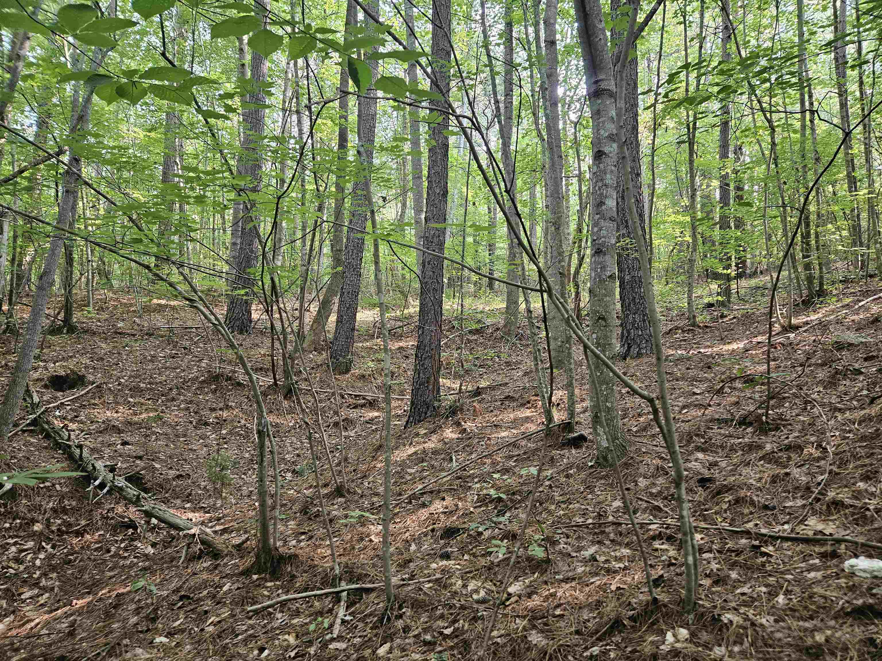 189 Artist Trail Ferrum VA 24088