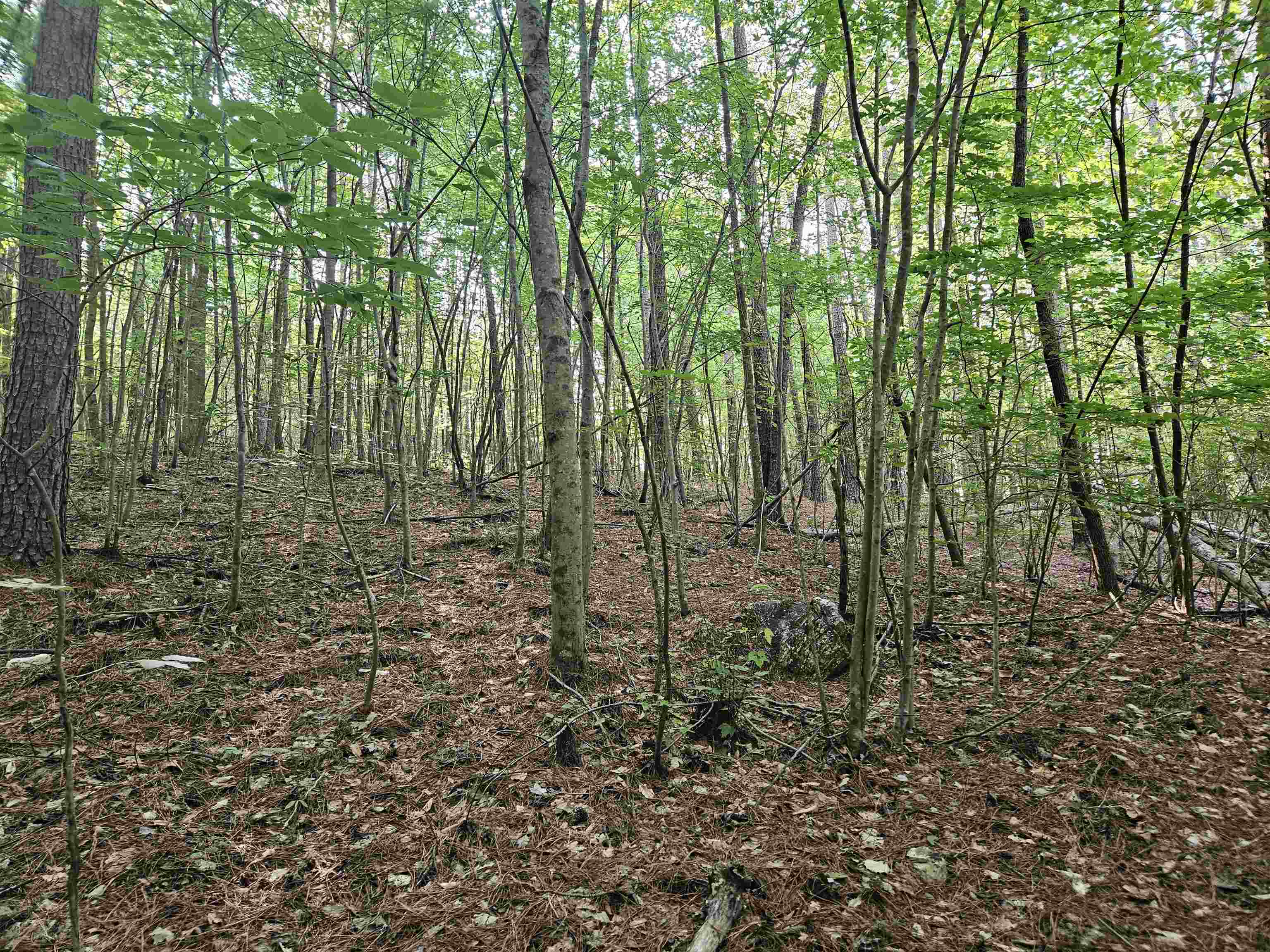 189 Artist Trail Ferrum VA 24088