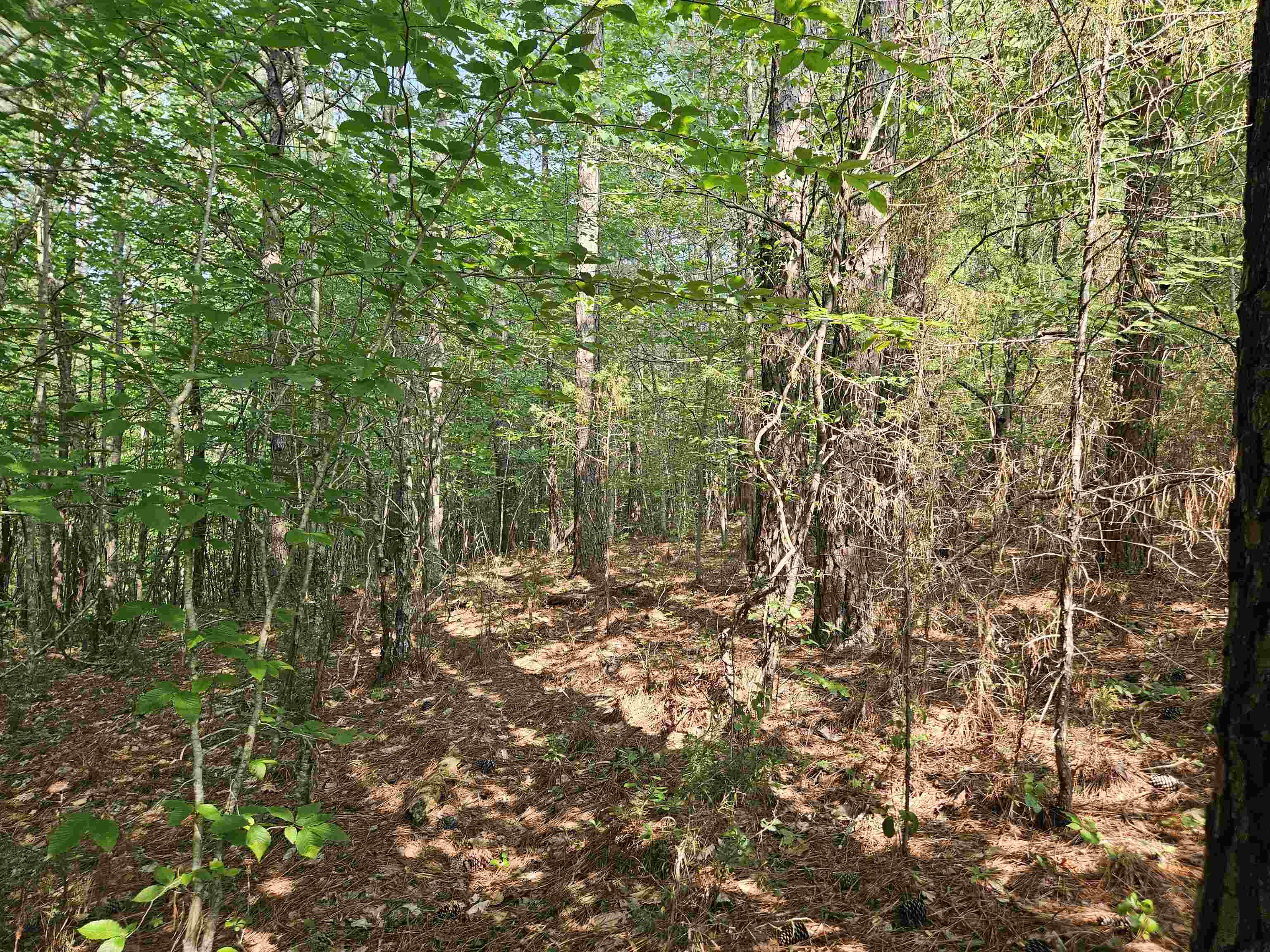 189 Artist Trail Ferrum VA 24088