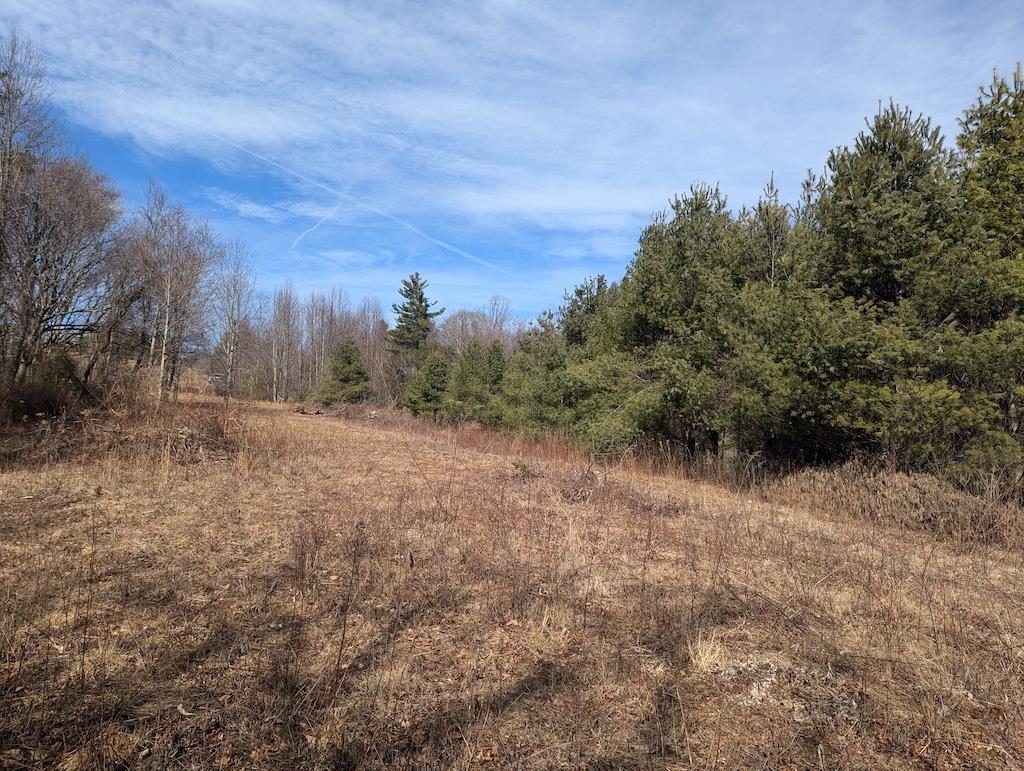 Tbd Continental Drive Hillsville VA 24343