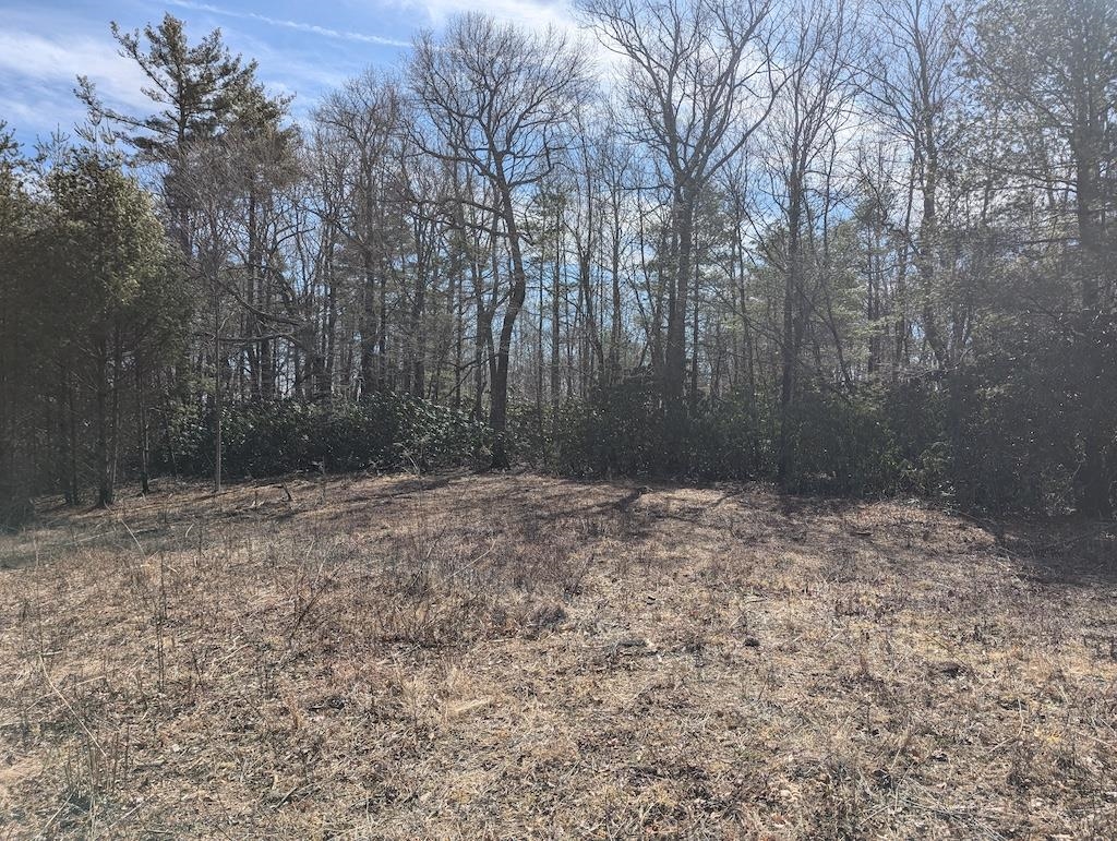 Tbd Continental Drive Hillsville VA 24343