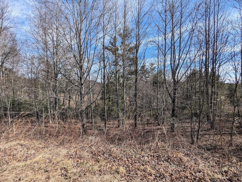 Tbd Continental Drive Hillsville VA 24343