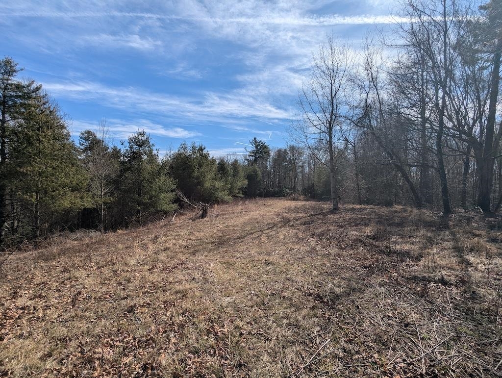 Tbd Continental Drive Hillsville VA 24343