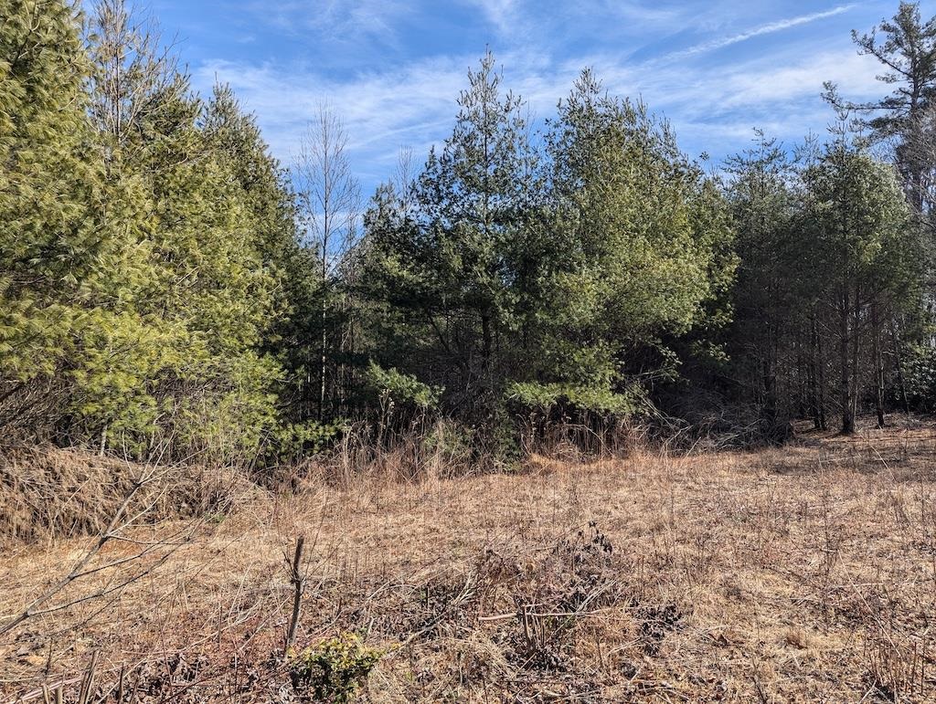 Tbd Continental Drive Hillsville VA 24343