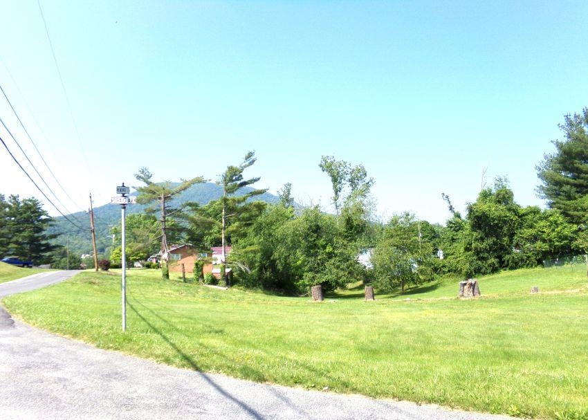 Tbd Craig Avenue Pearisburg VA 24134