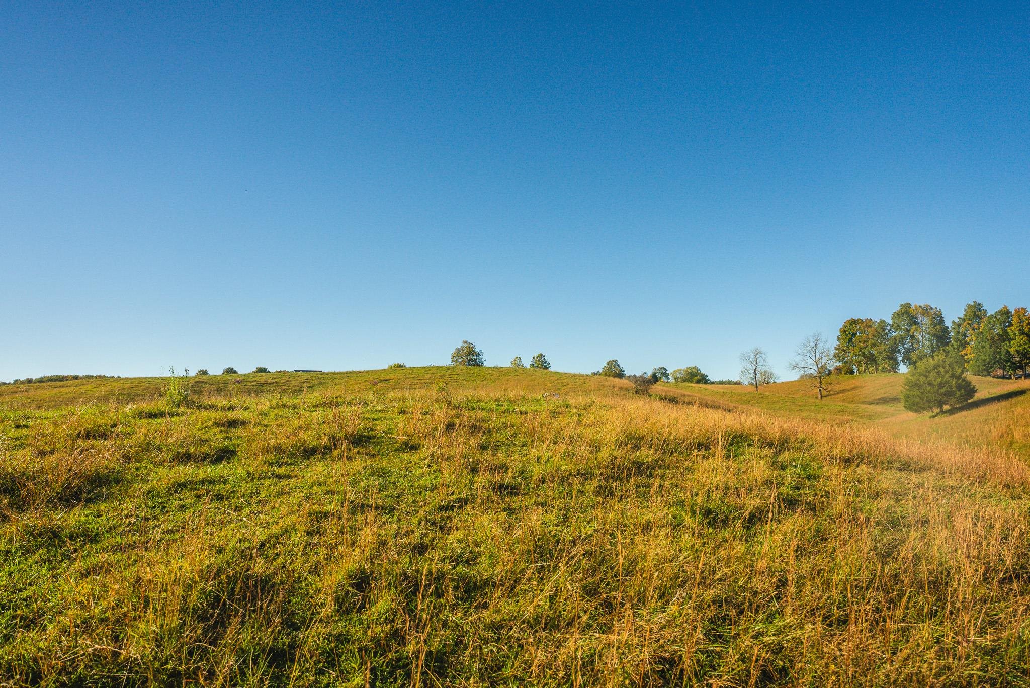 Lot 1 Watauga Road Abingdon VA 24211