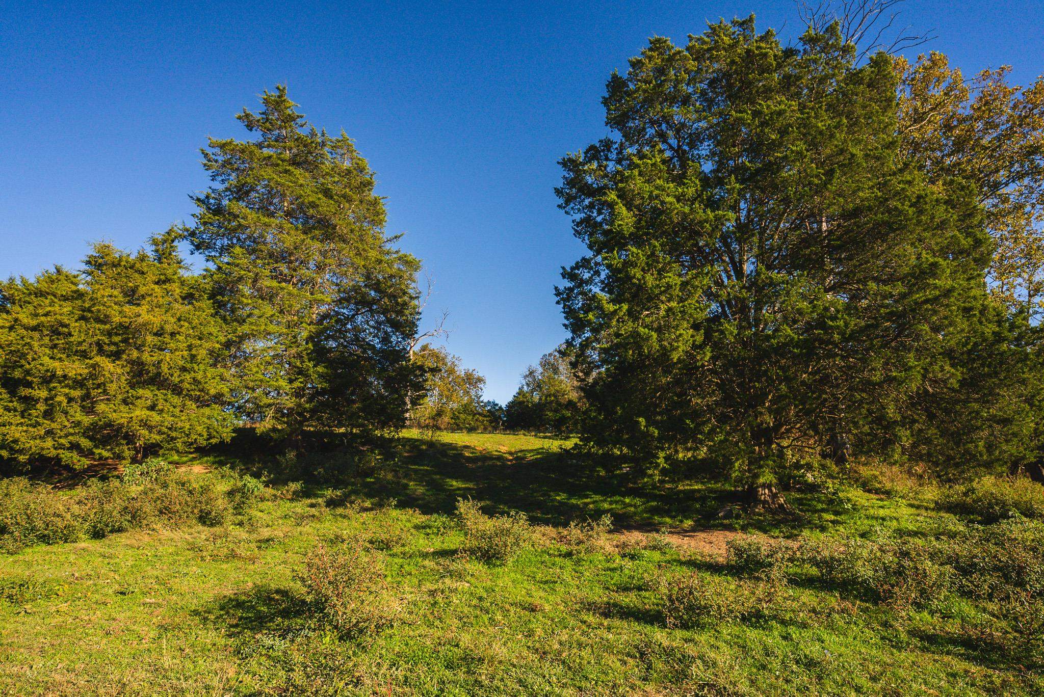 Lot 1 Watauga Road Abingdon VA 24211