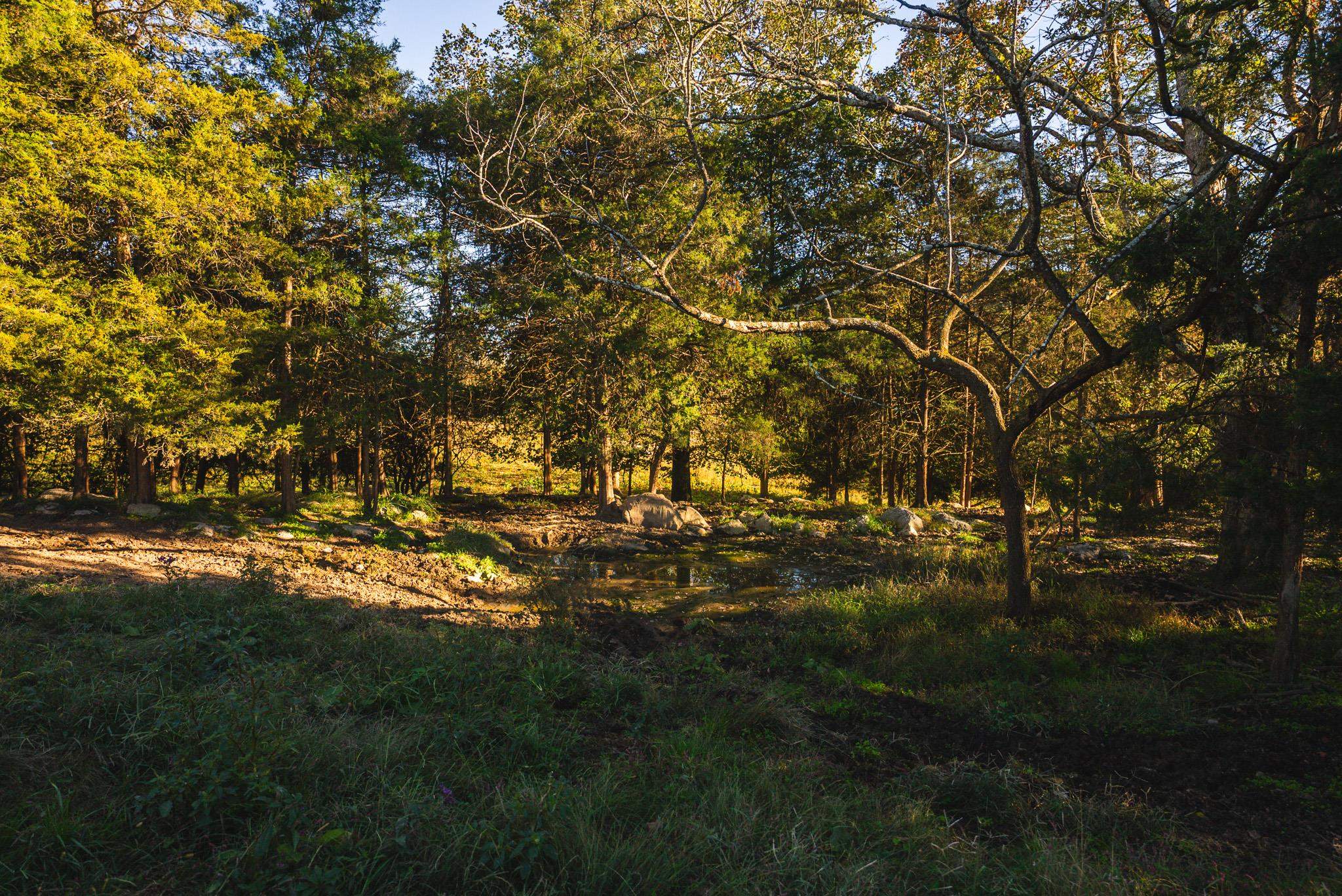 Lot 1 Watauga Road Abingdon VA 24211