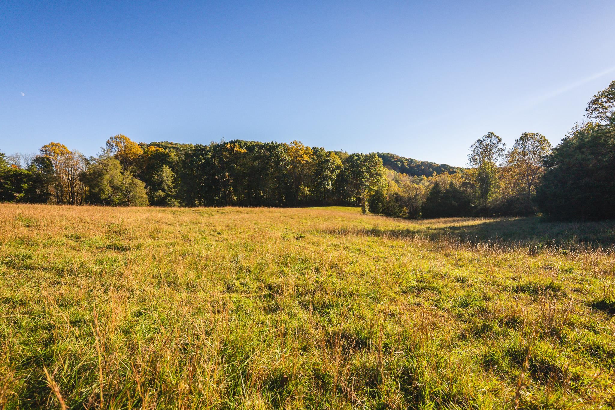 Lot 1 Watauga Road Abingdon VA 24211