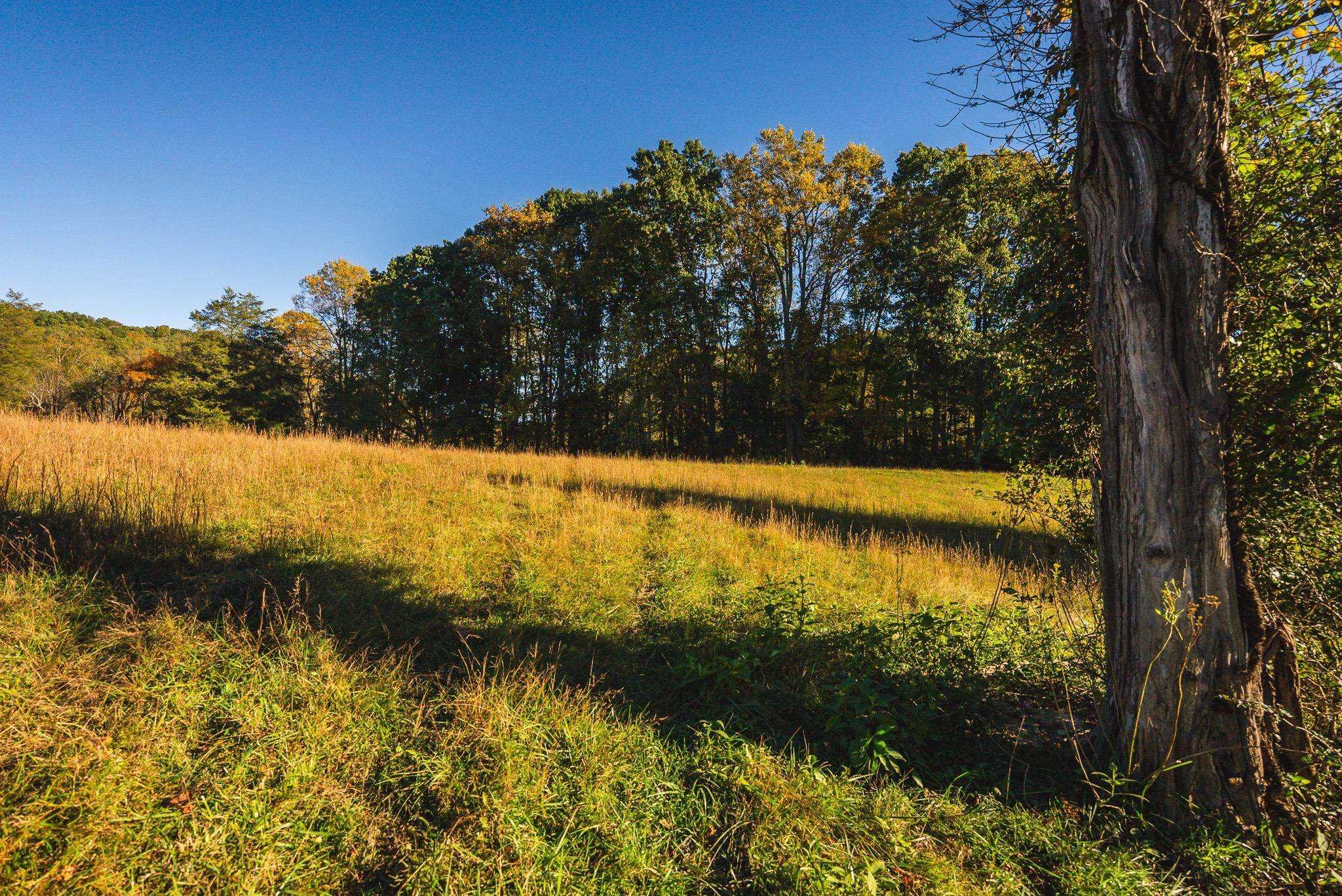 Lot 1 Watauga Road Abingdon VA 24211