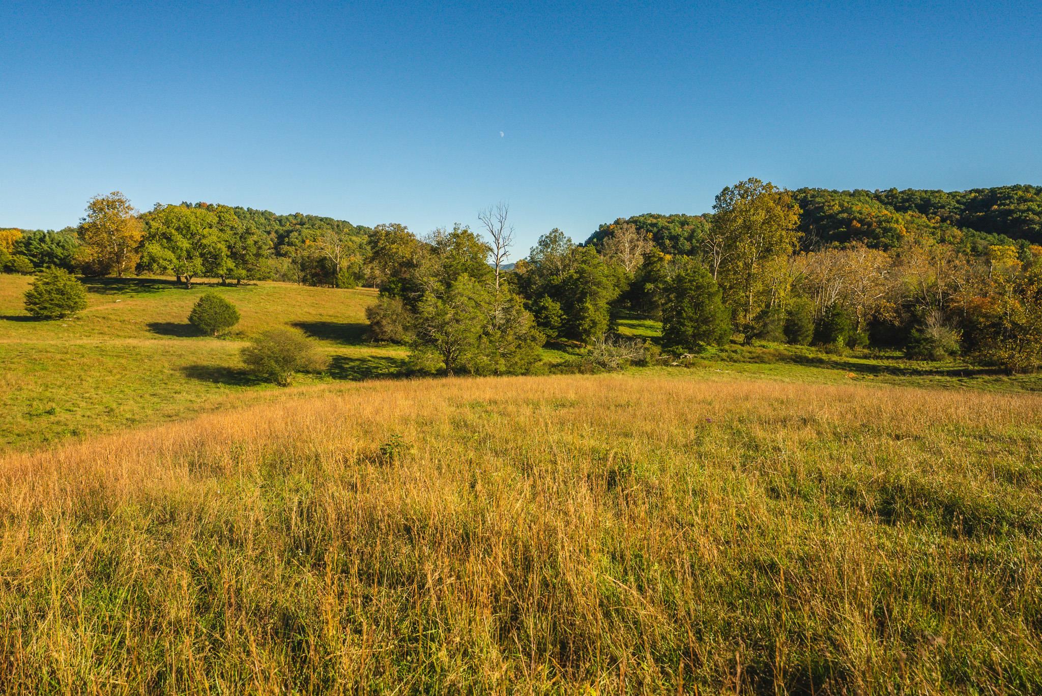 Lot 1 Watauga Road Abingdon VA 24211